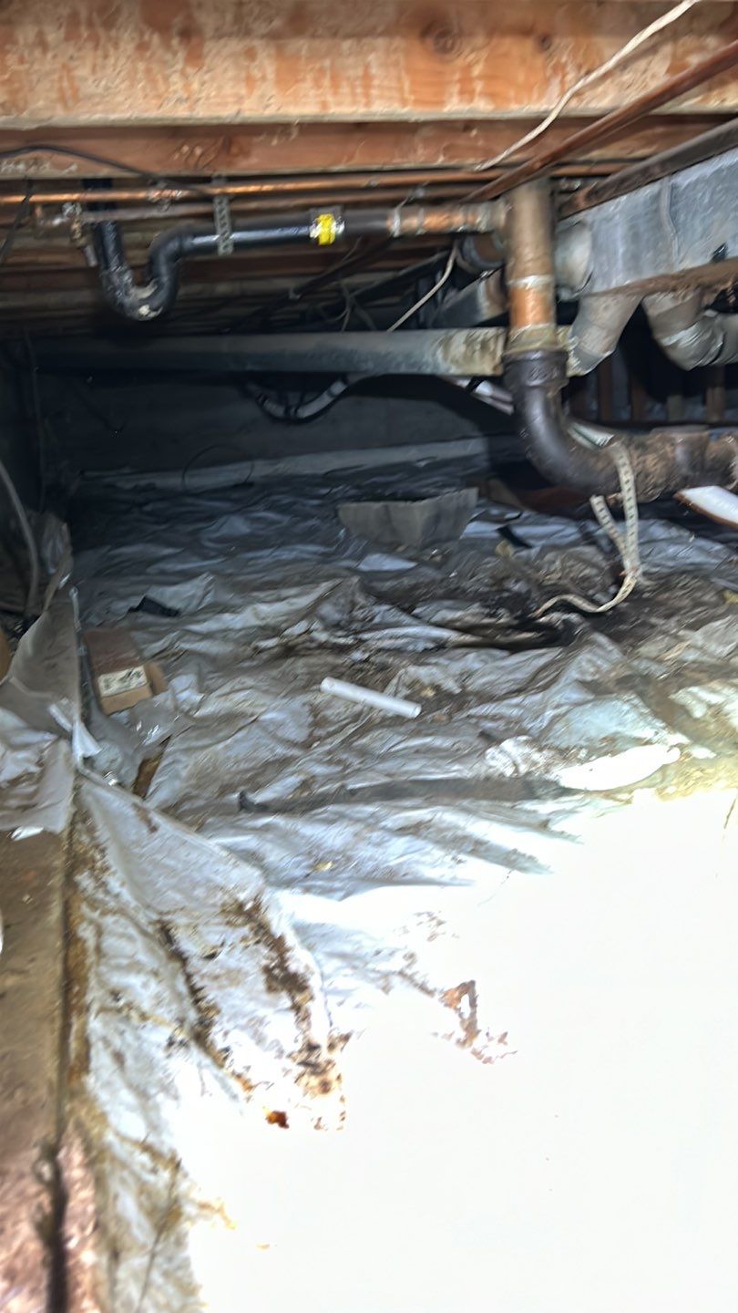 Sewage Backup by Accountable Home Services