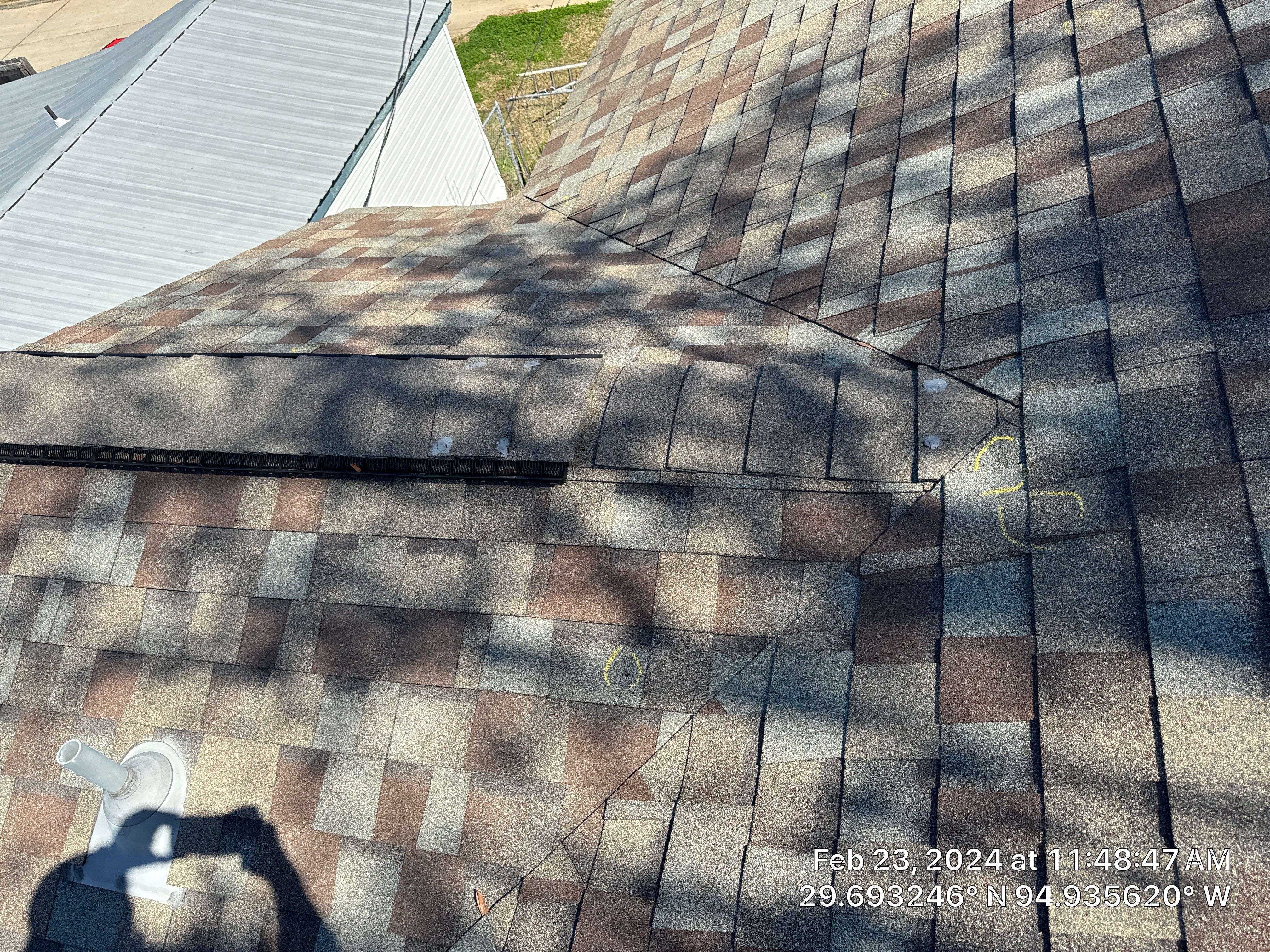 Hail Damage by Southern Belle