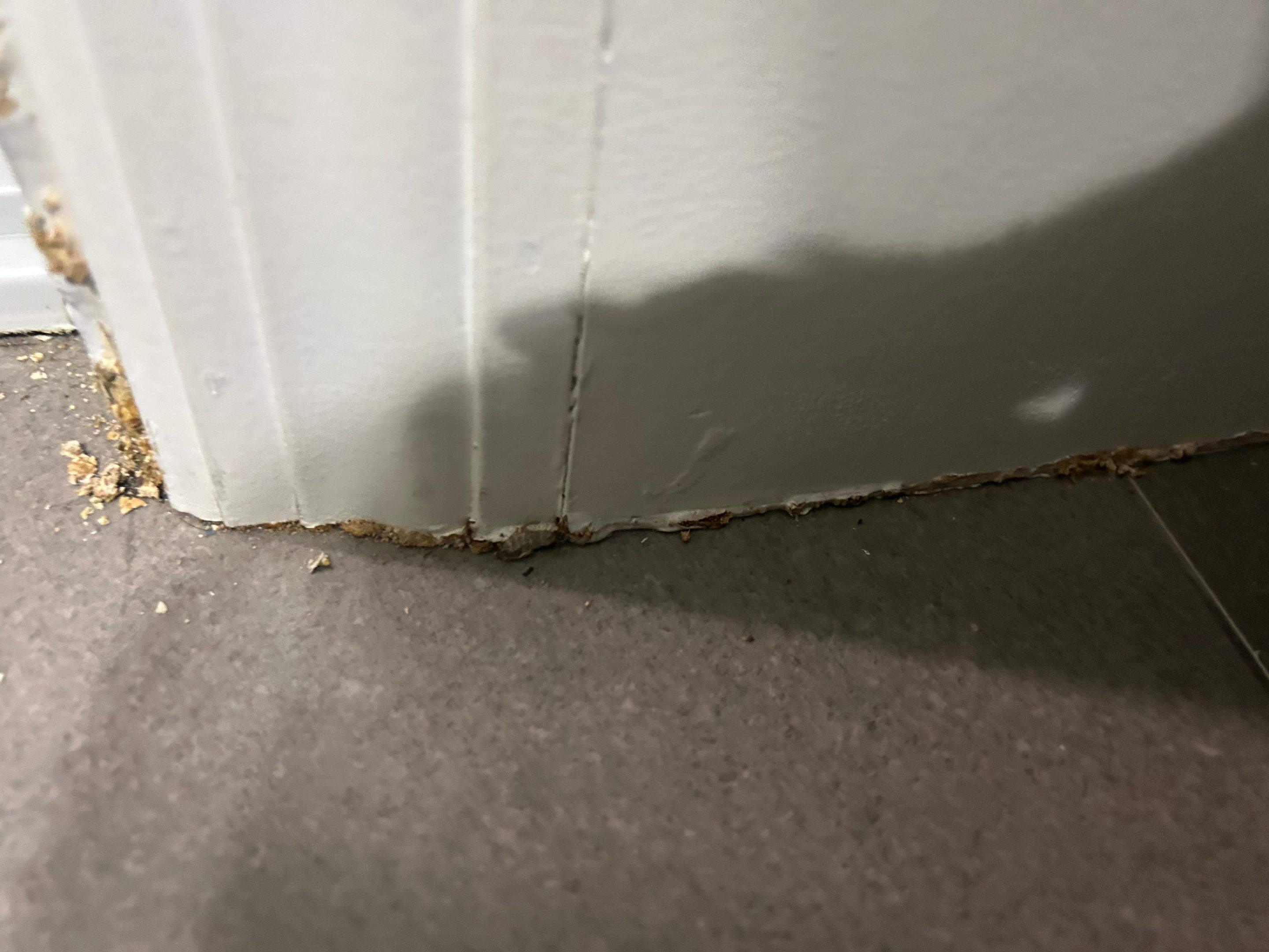 Water Damage Claim in Hollywood by FLAPA & KeyStone