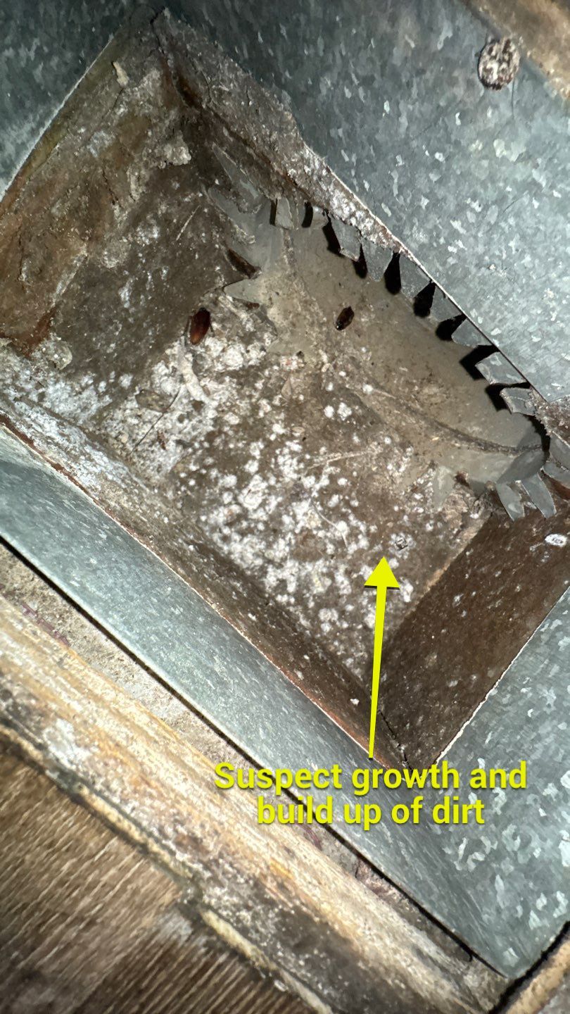 Extremely Dirty Air Duct Cleaning in Fruitland Park by Hygienic Air, Inc