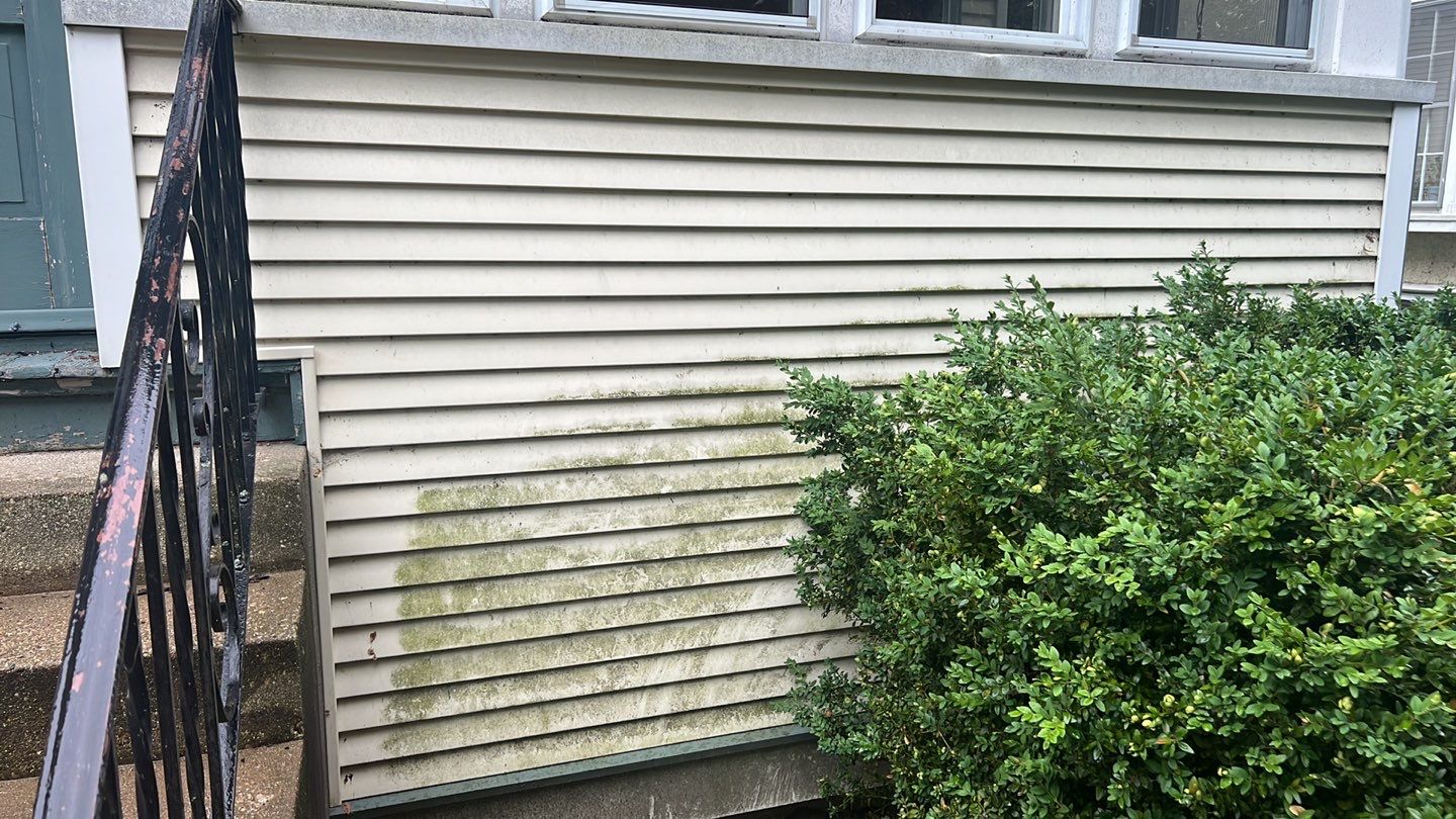 Housewashing  using Algaecide, soft wash soap by Northern Power Washing LLC.
