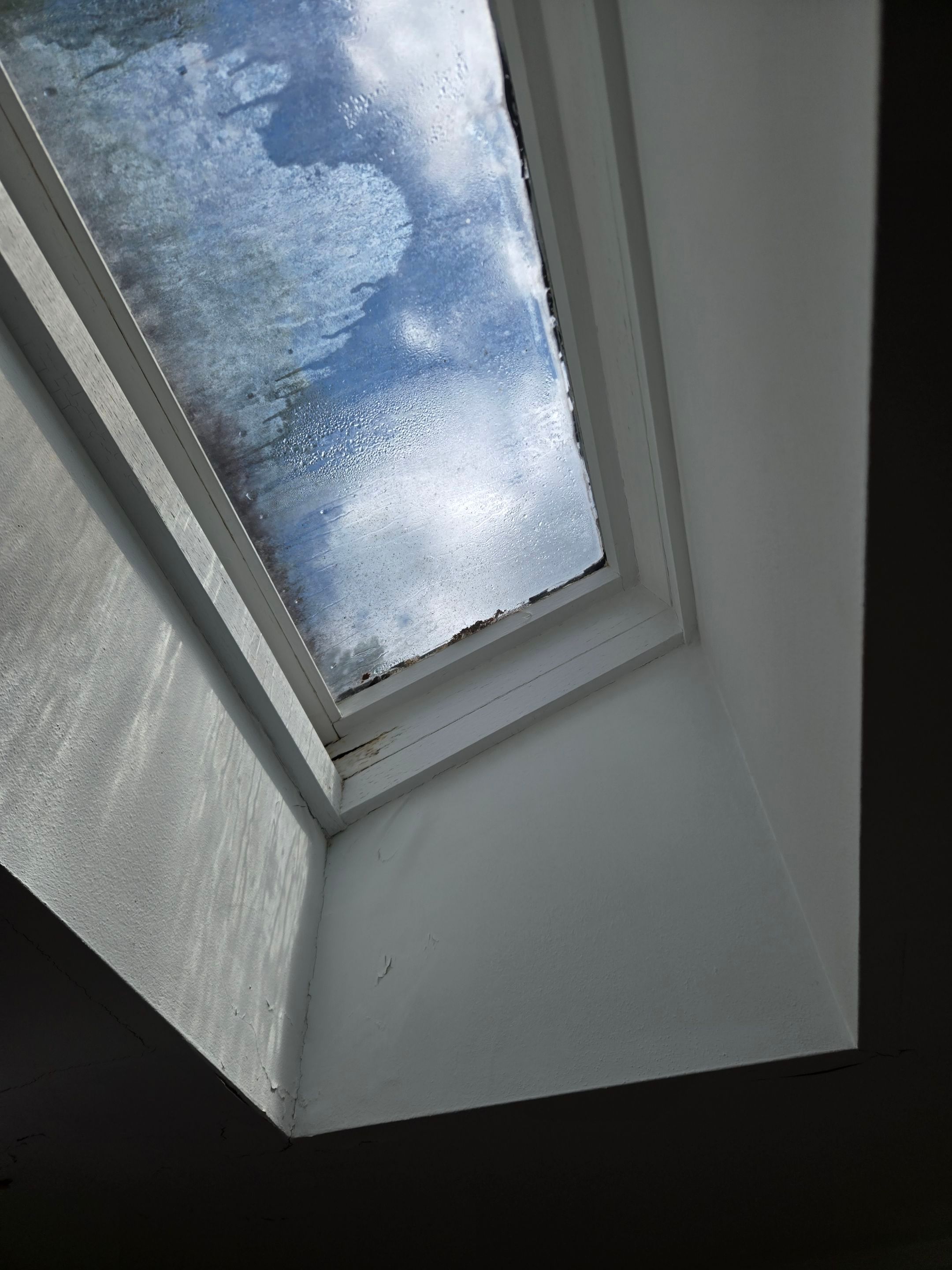 Dayton Skylight Replacement and Shingle Repair for Leaking Roof by Level Up Roofing and Restoration Services LLC