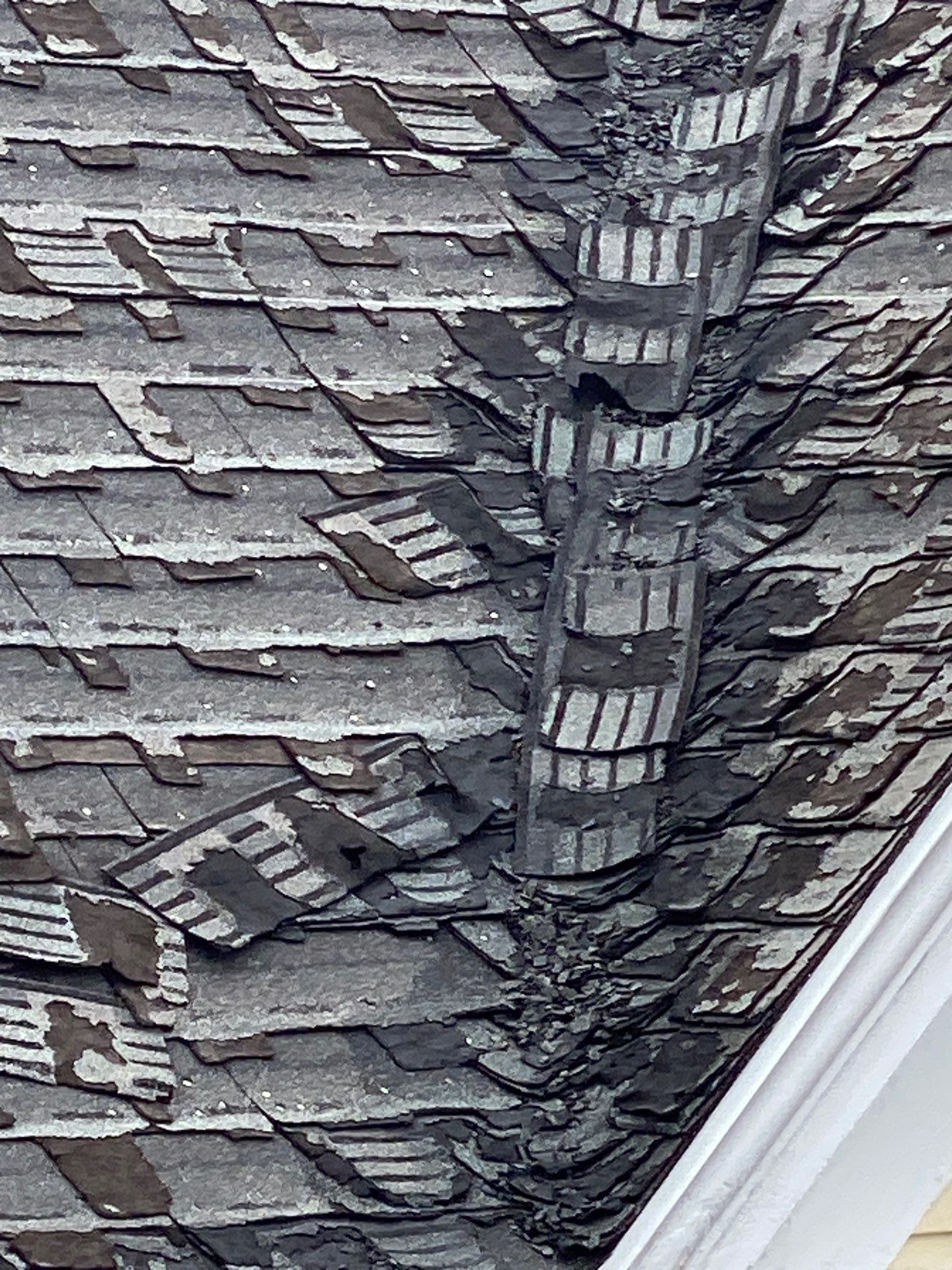 Full Roof Replacement & EPDM Restoration – North Andover, MA by Mighty Dog Roofing of Greater Middlesex County