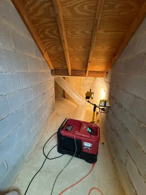 Basement Remediation
