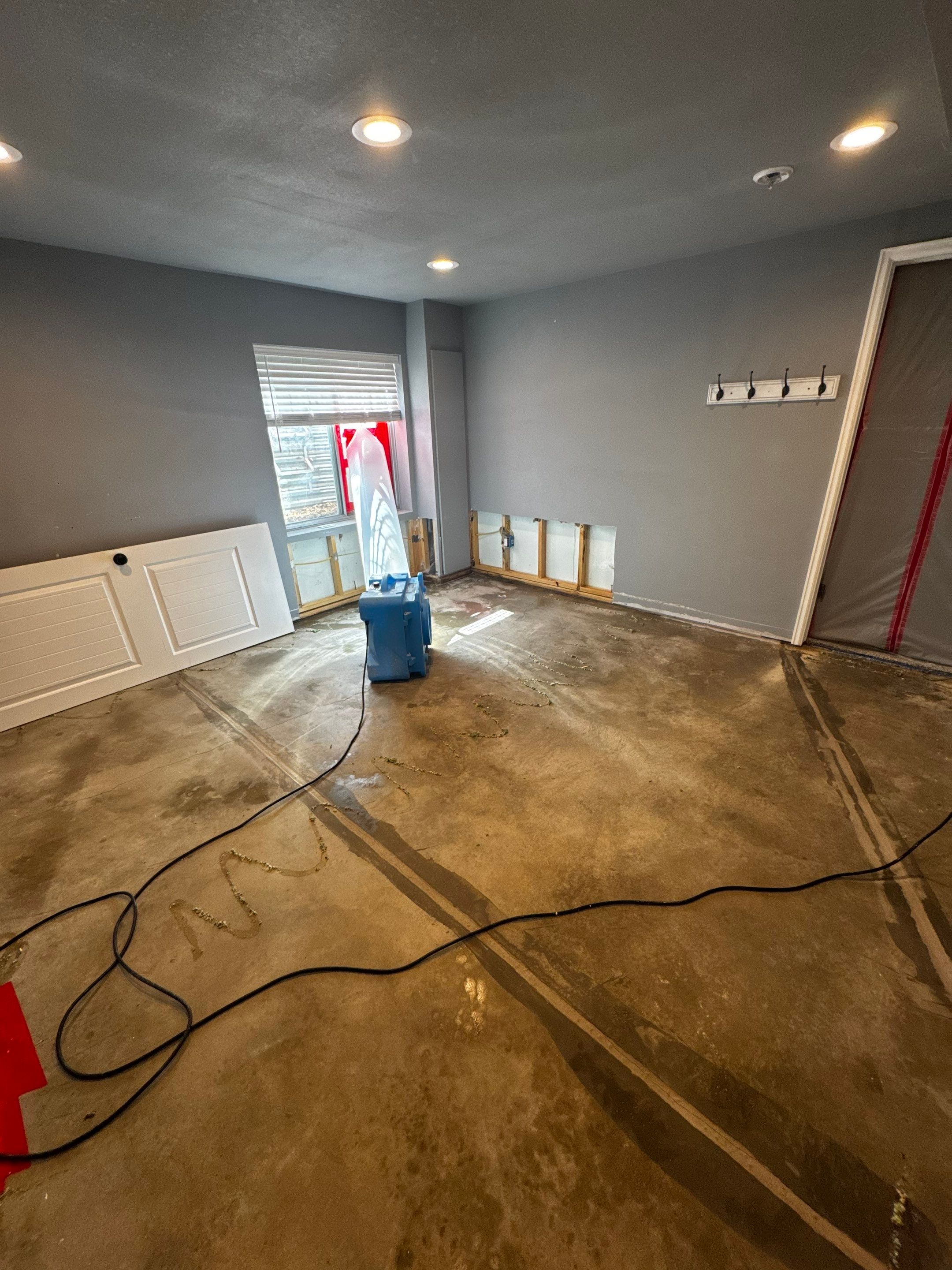 Mold Project in Thornton by Accountable Home Services