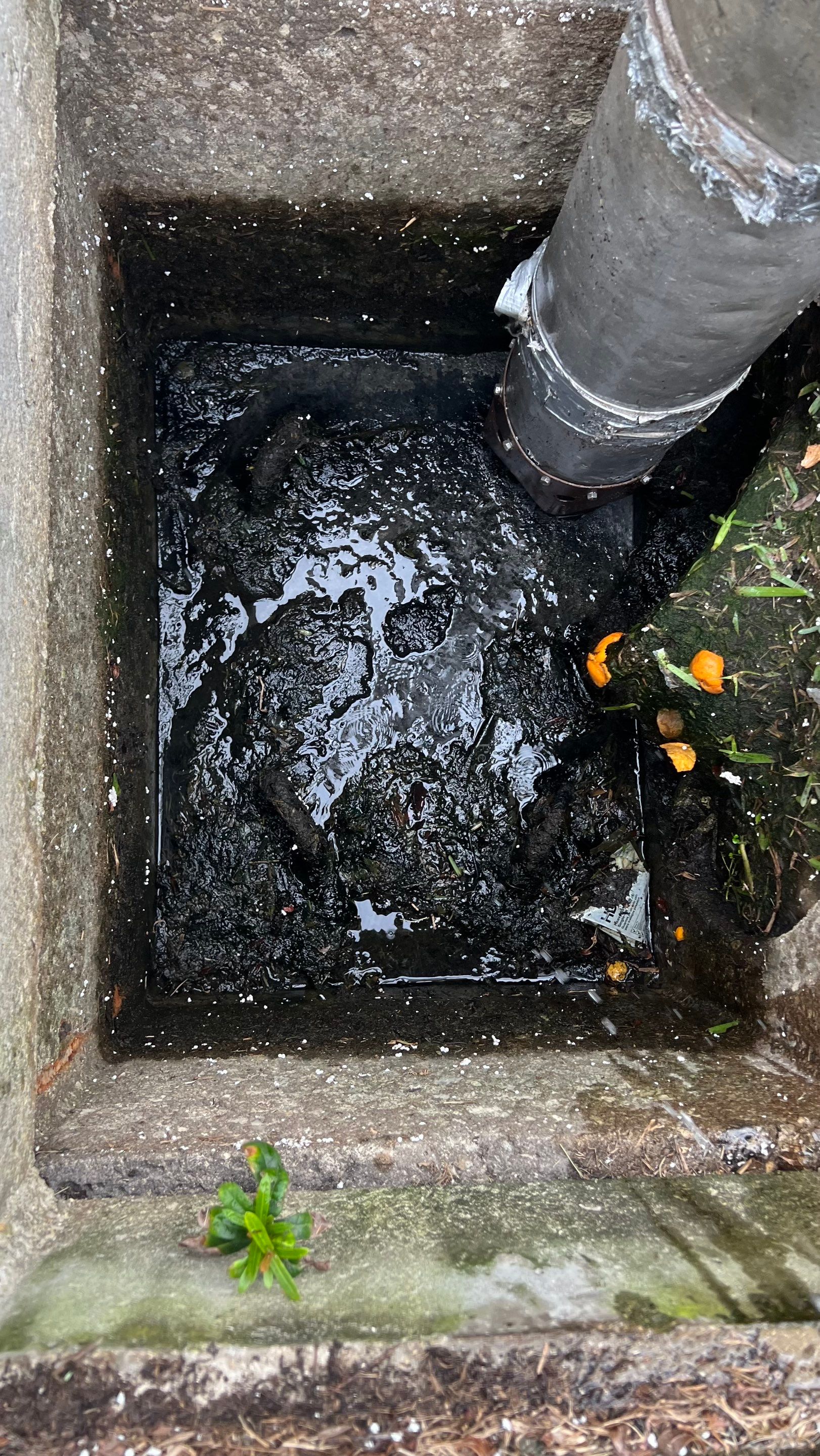 Stromwater System Maintenance at Bill Smith Appliances / Critter Cafe Marco Island Catch Basin by Don Mar, Inc. Storm Water Solutions