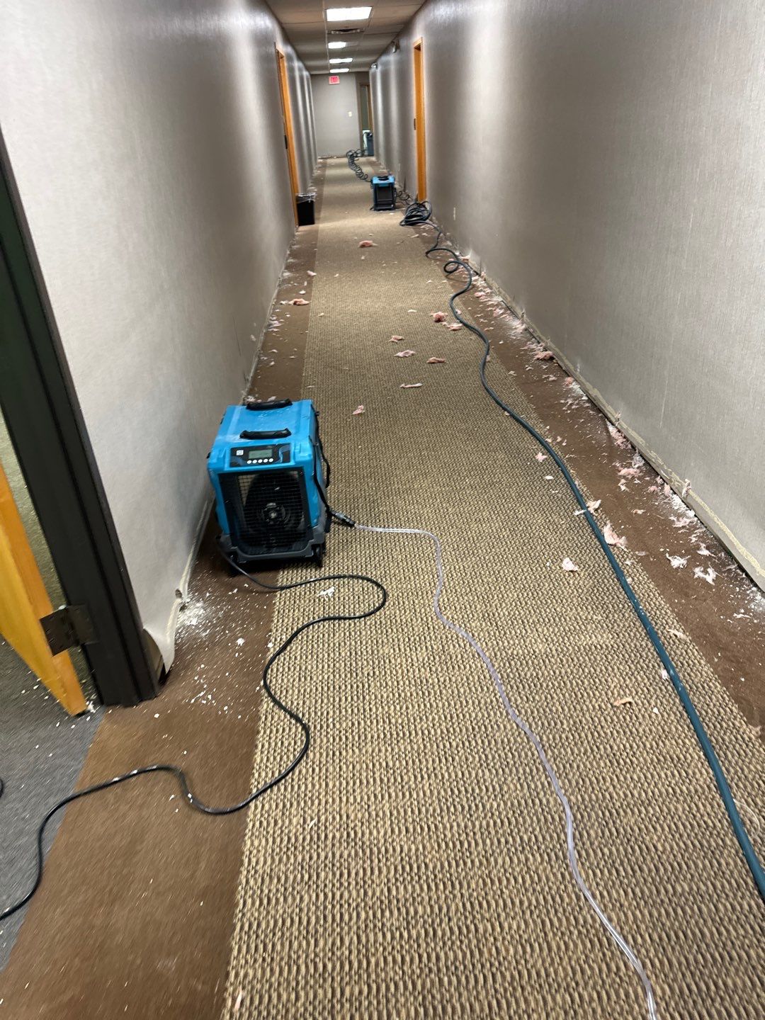 Project in Warren by EzDry Water Mitigation & Property Restoration