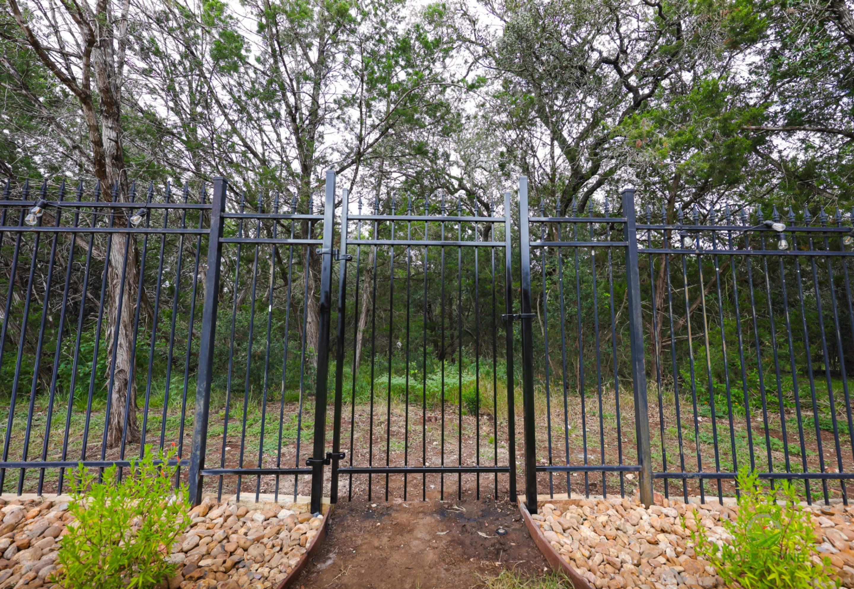Wortham Oak, San Antonio Tx. by Hole In One Lawns, LLC