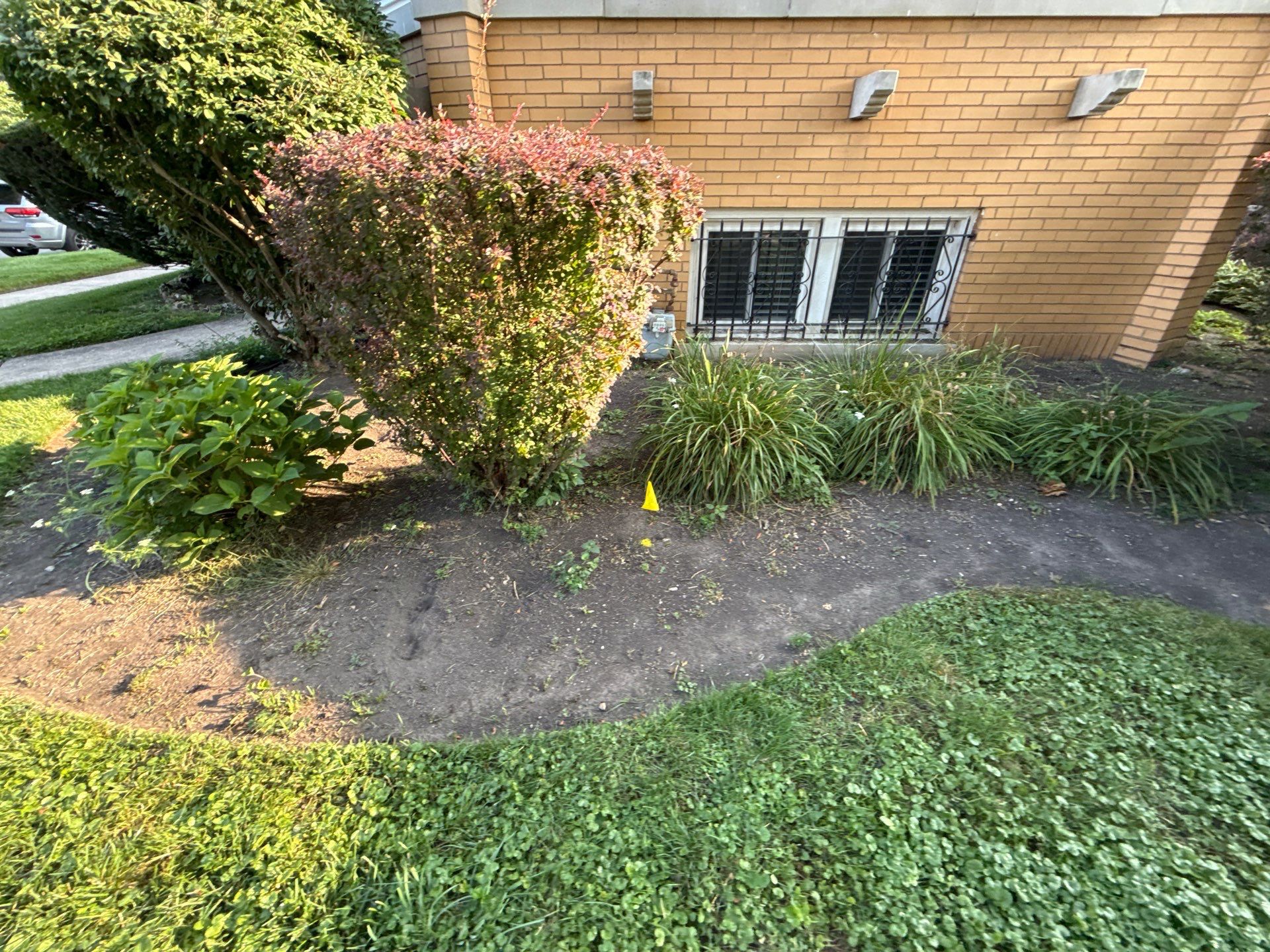 Nancy M. - Park Ridge, IL by A&N