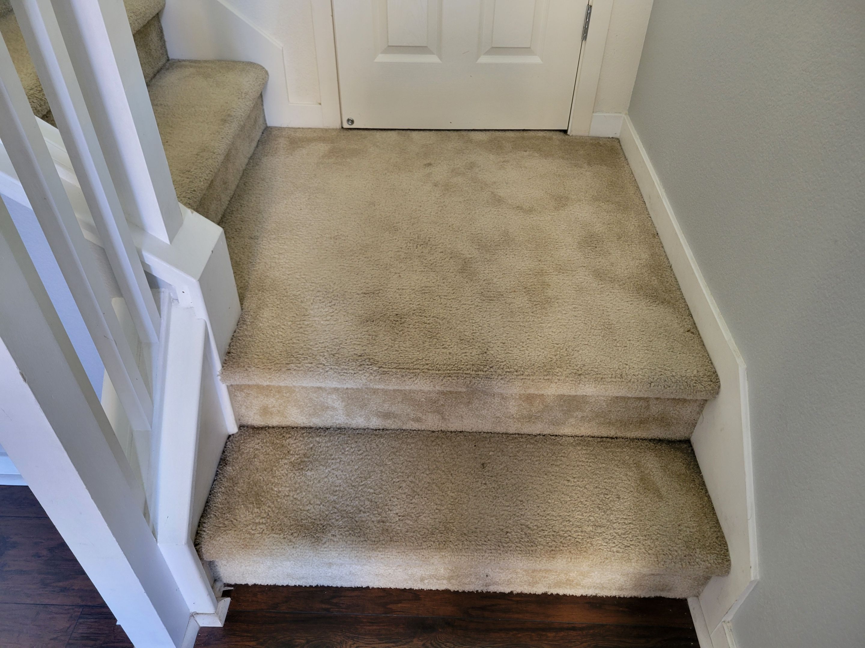 Carpet Cleaning & Stain Removal by Ardent Carpet Restore LLC