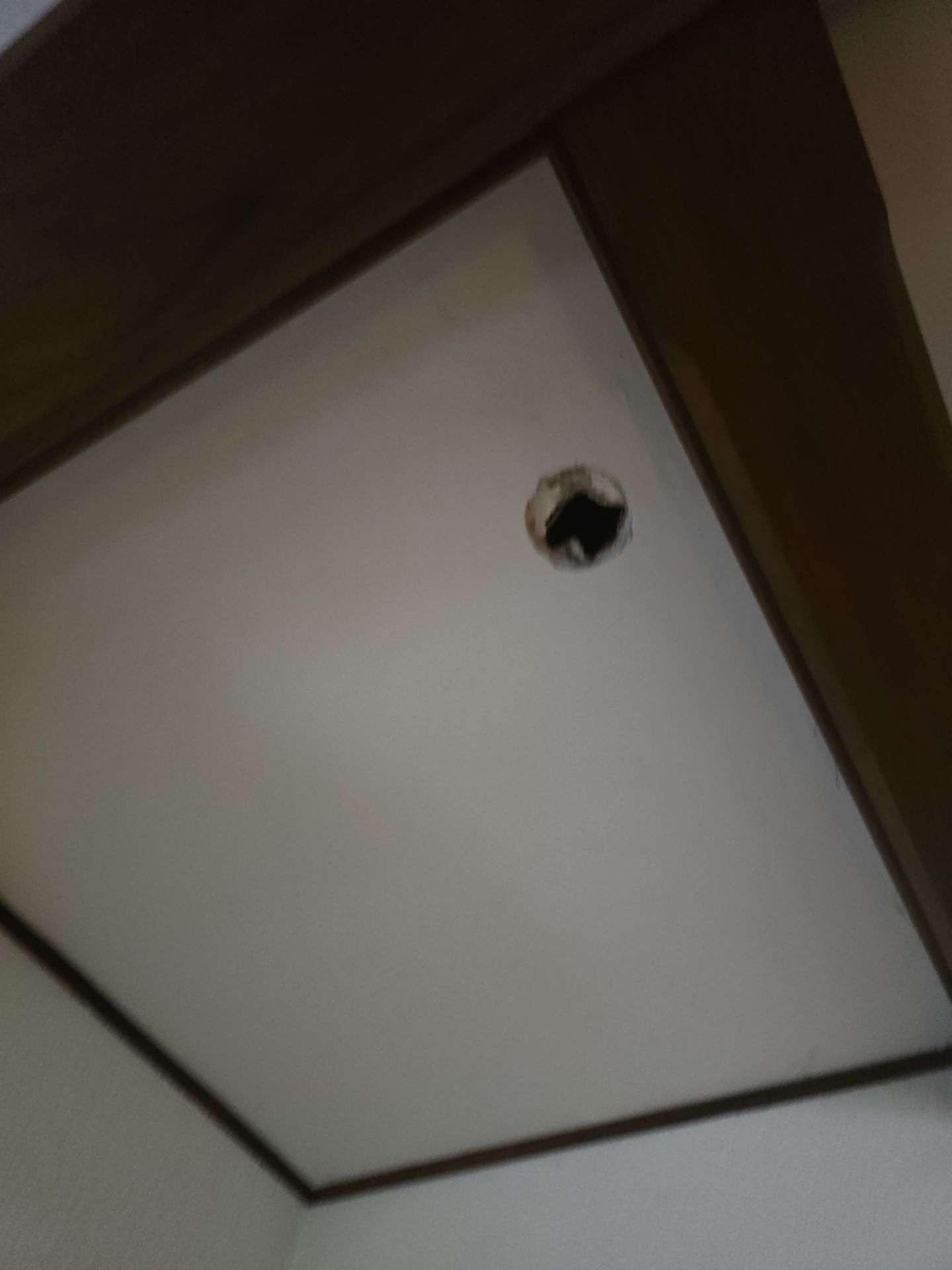 Checking for Water Leaks, Installing New Piping, and Testing Water Flow by Us Plumbing 