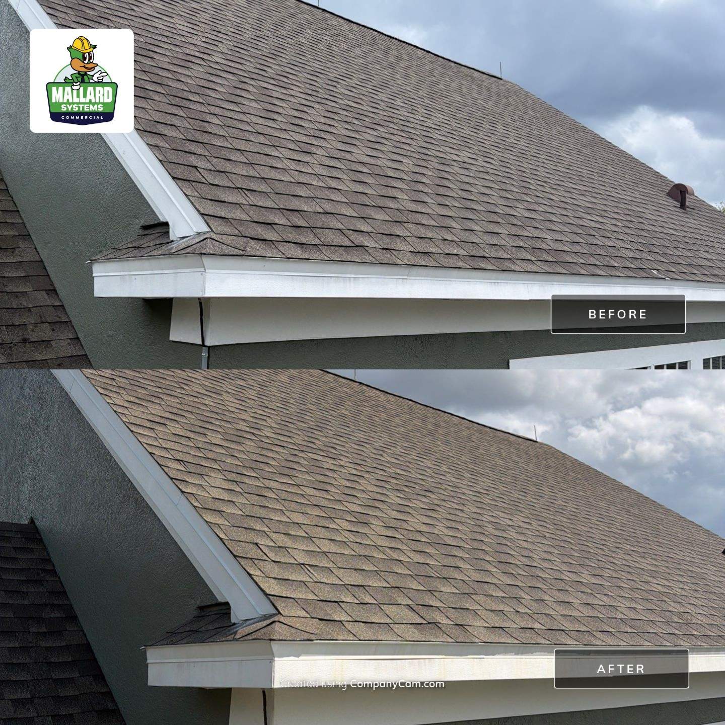 Shingle Roof Cleaning by Mallard Systems