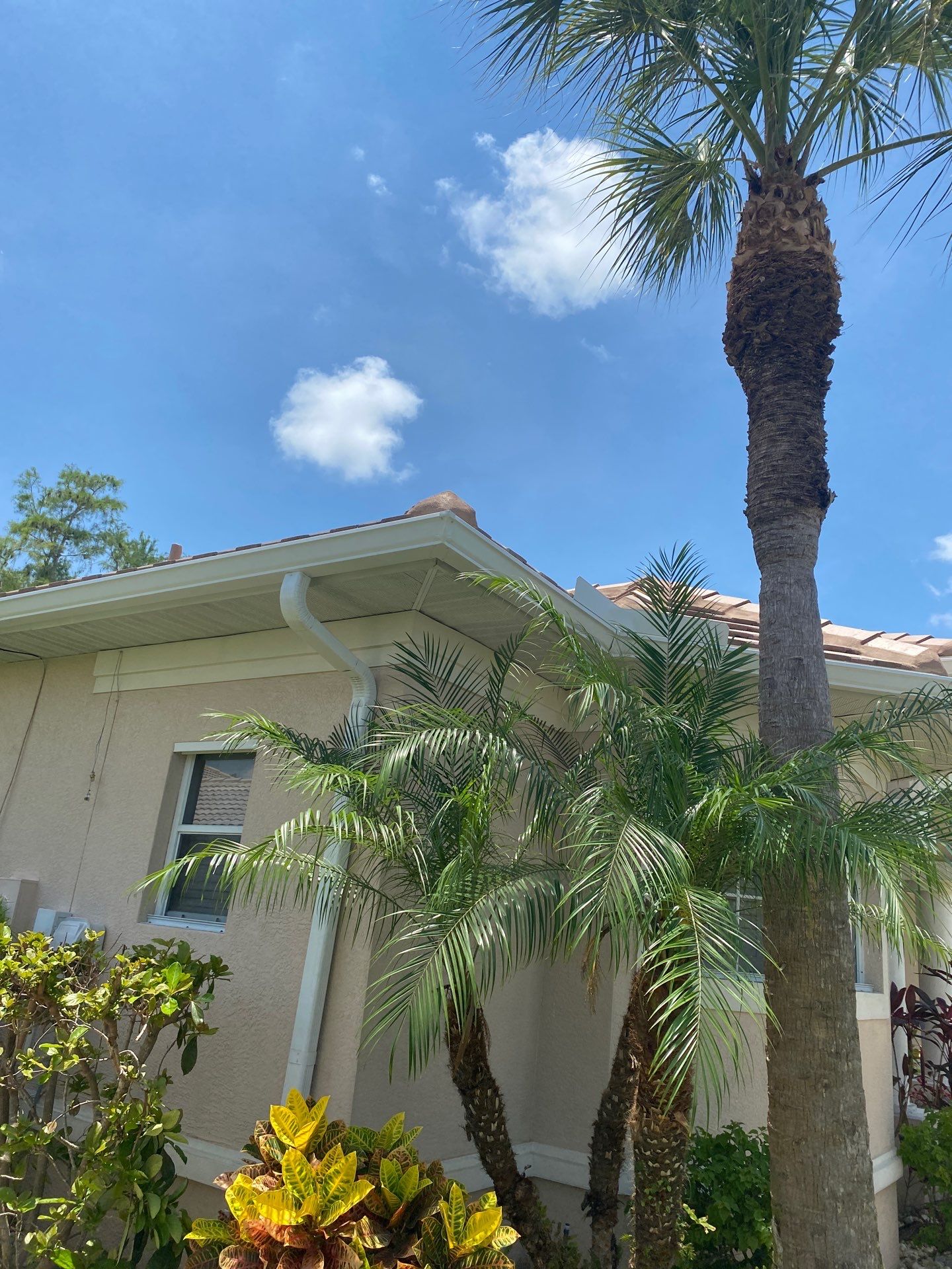 Seamless Gutter Upgrade Before & After in Bonita Springs FL by Gutter Professors