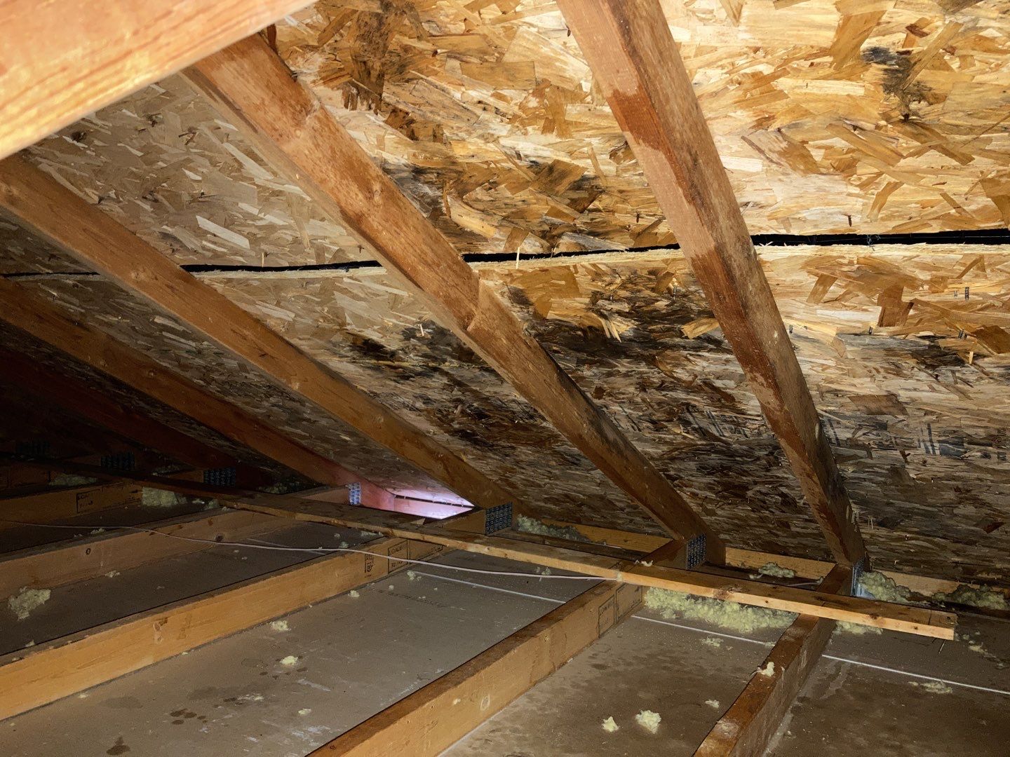 Mold Remediation Cleanup in Attic by Accountable Home Services
