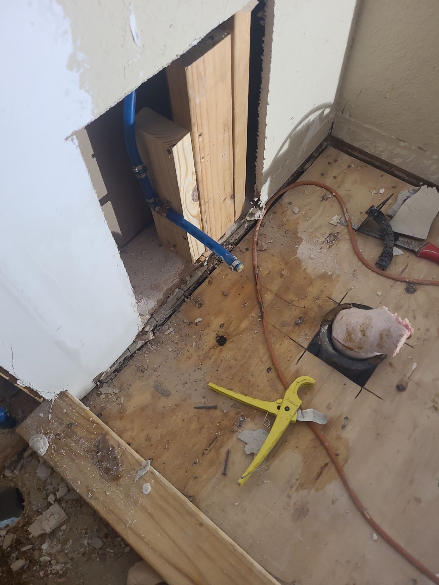 Full House Remodel in Creekside Park by SophAlx LLC