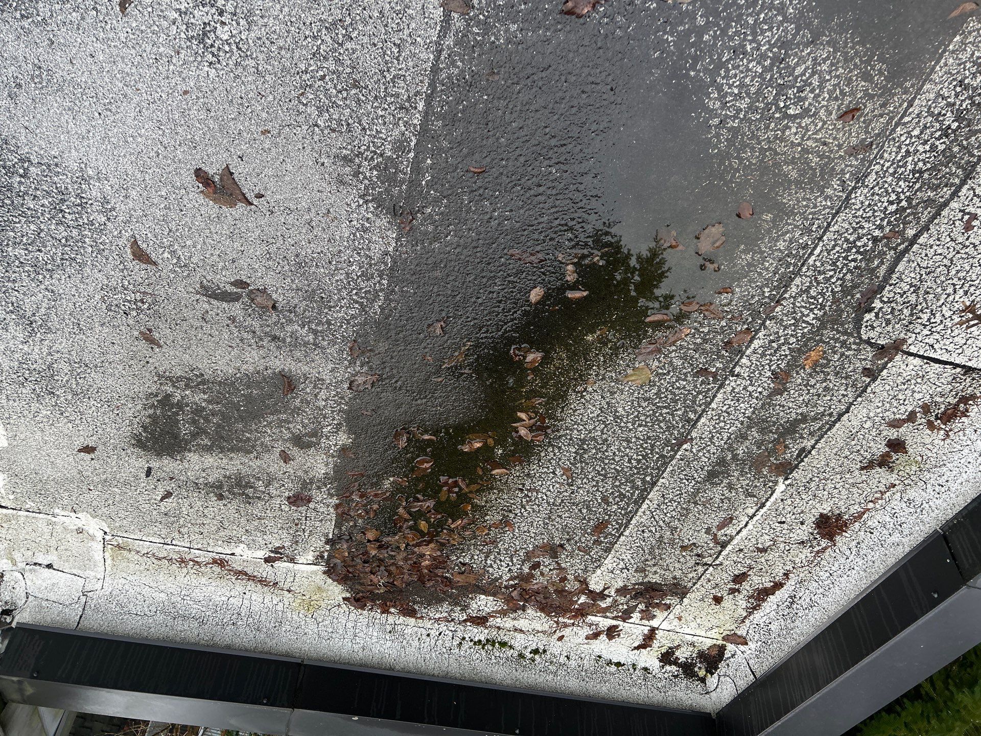 Project in Kirkland by Connolly Construction Company