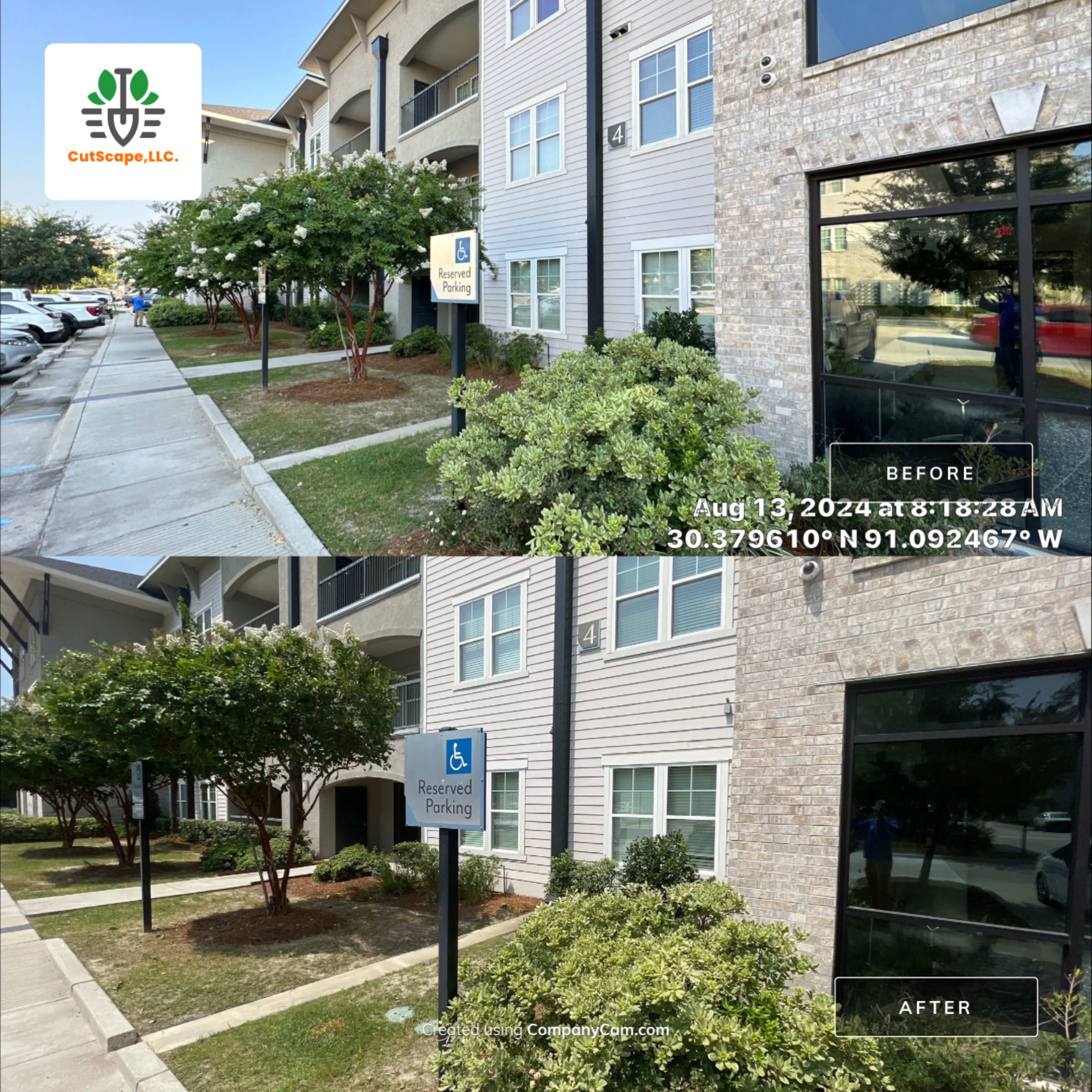 MULTI FAMILY PROPERTY: HEDGE TRIM / BED CLEAN by CutScape, LLC.