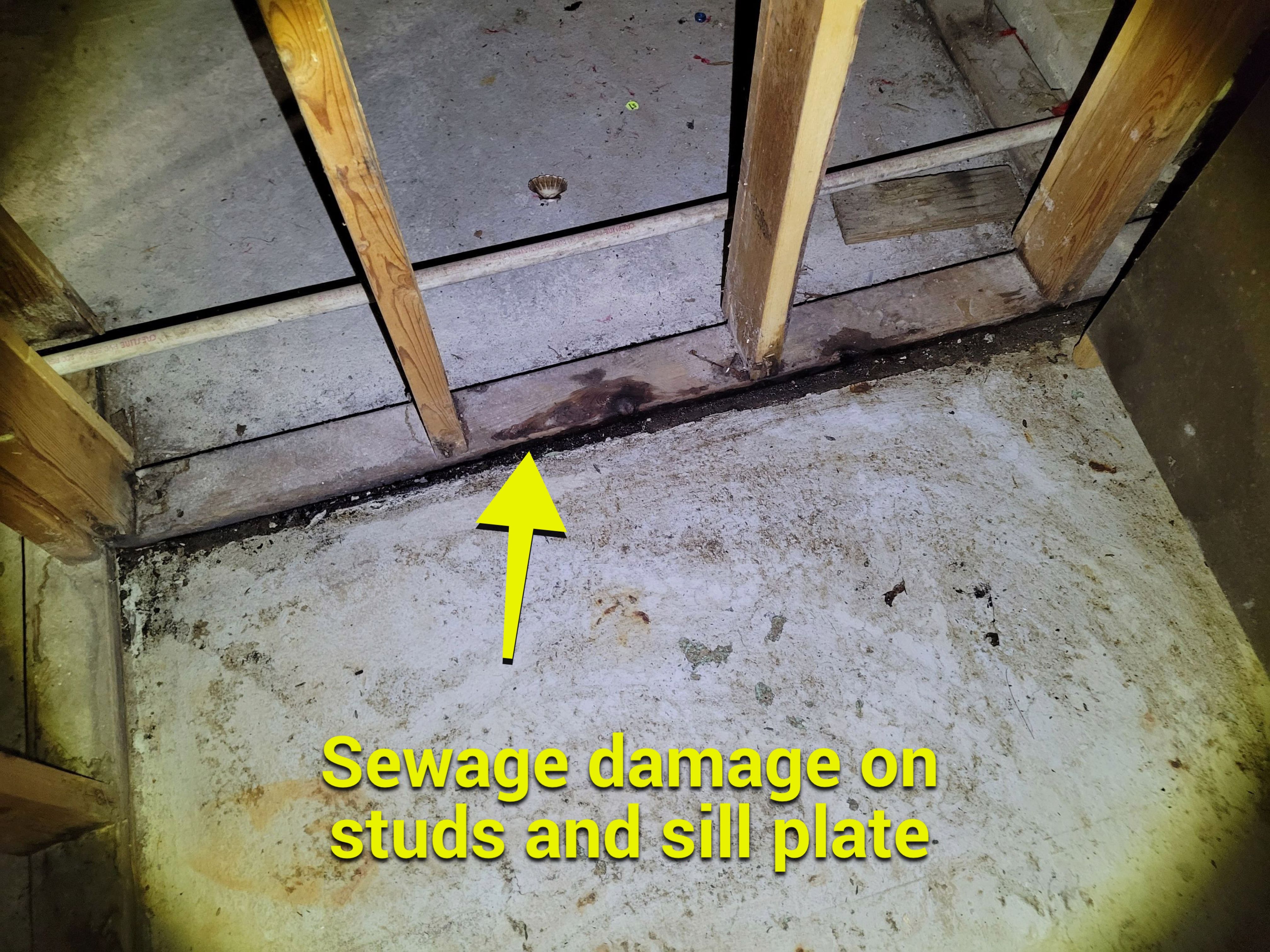Toilet Overflow by Chicagoland Water Medics