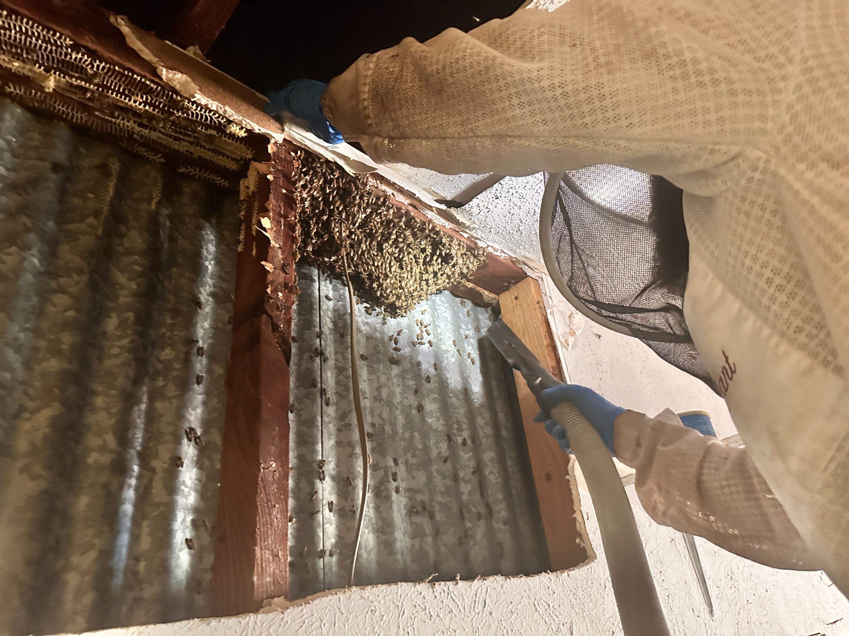 Motorcycle Garage by Rockwall Honey Bee Company