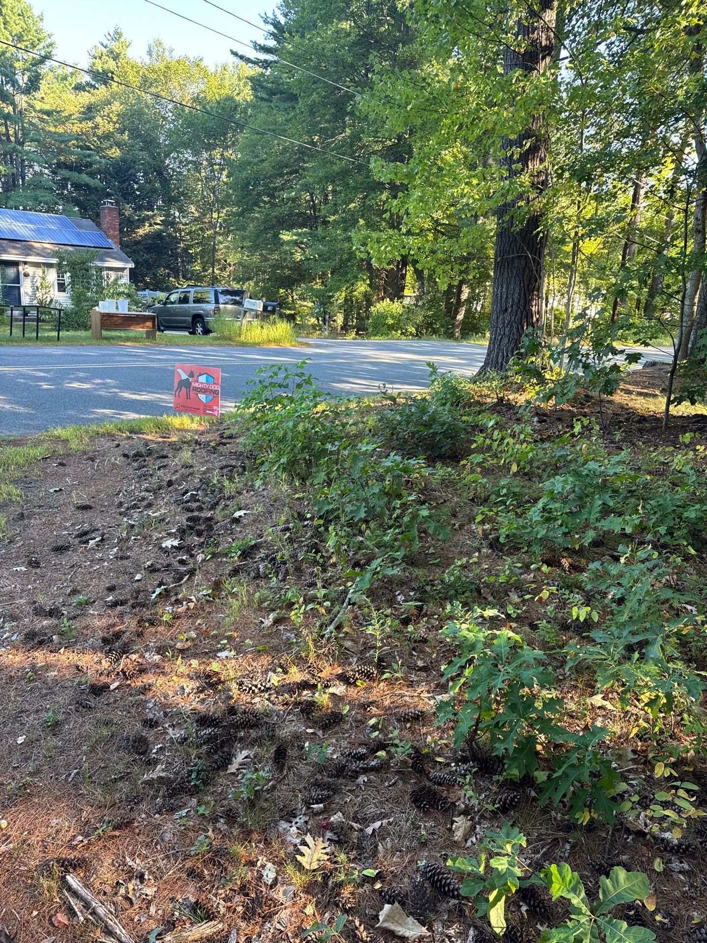 Roof Replacement – Rosalie Brown, MA by Mighty Dog Roofing of Greater Middlesex County