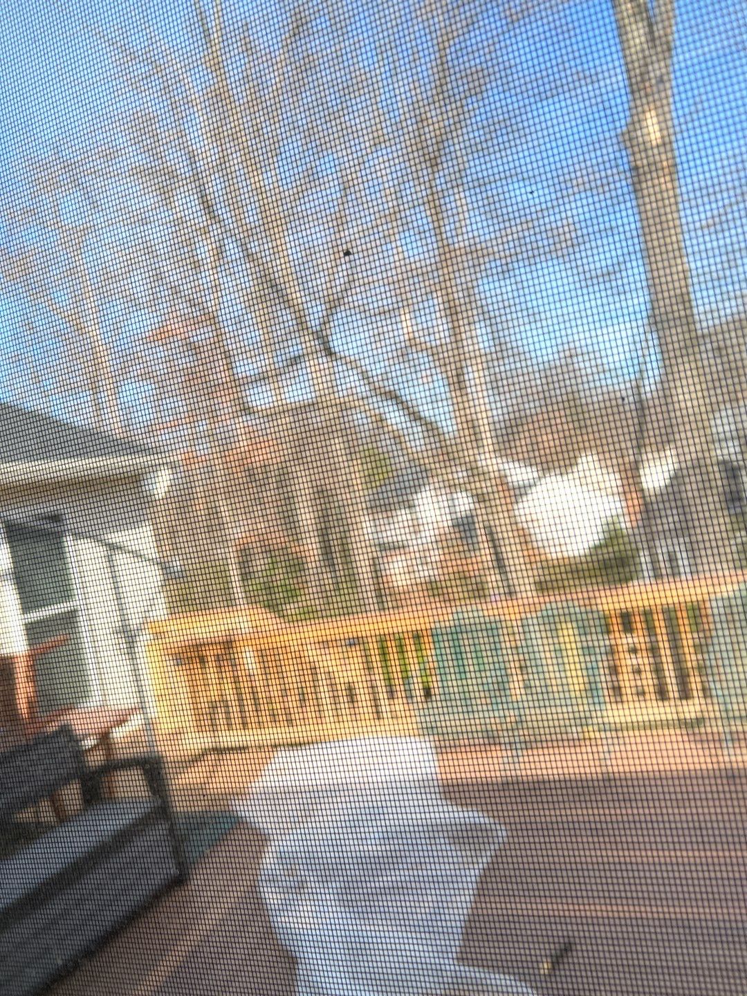 Burke: Multi-Trade Tree Damage Restoration by RM Banning, Inc.