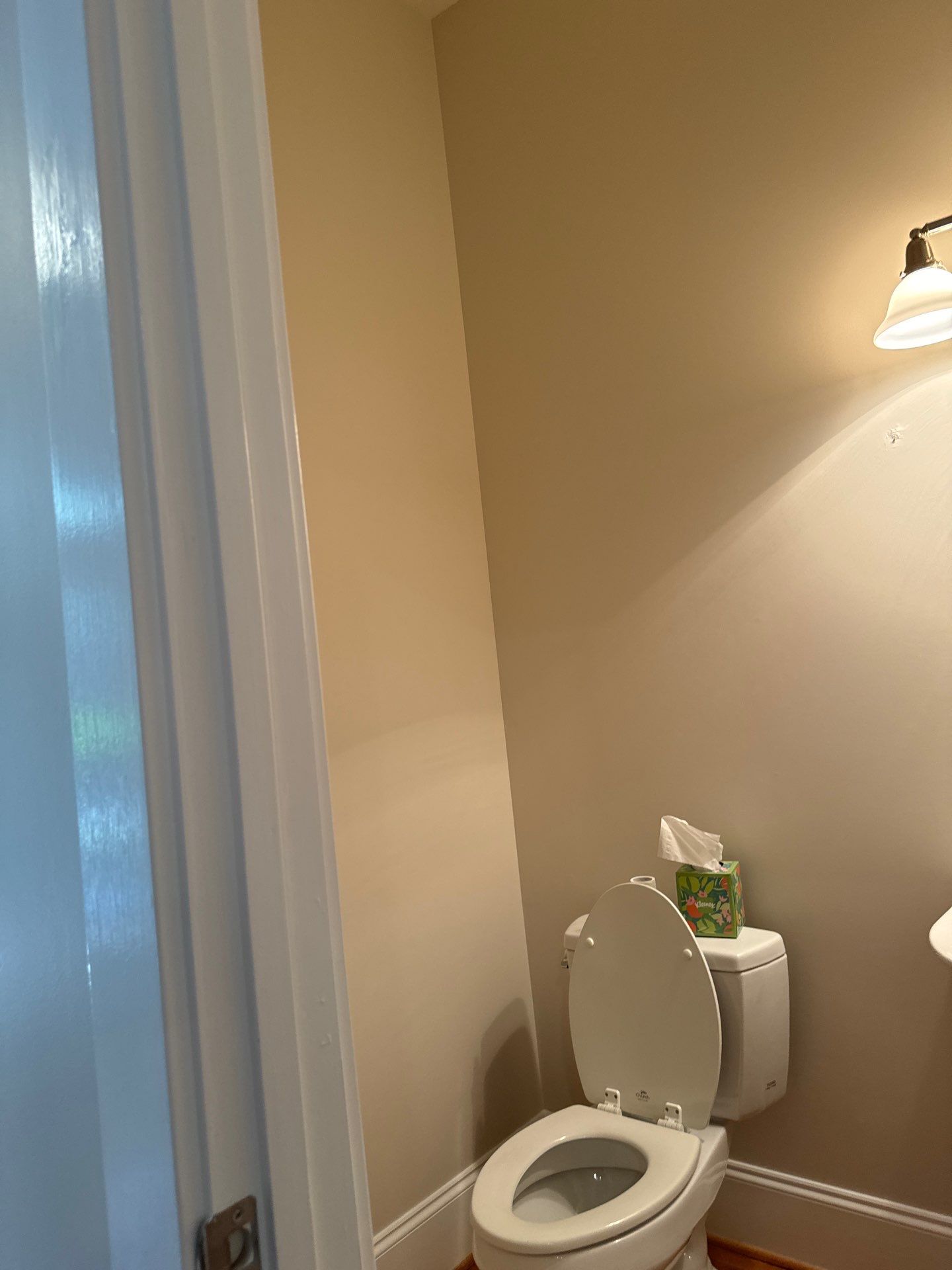 Interior Walls and ceiling painting by GonzalezPainters & Contractors Inc 