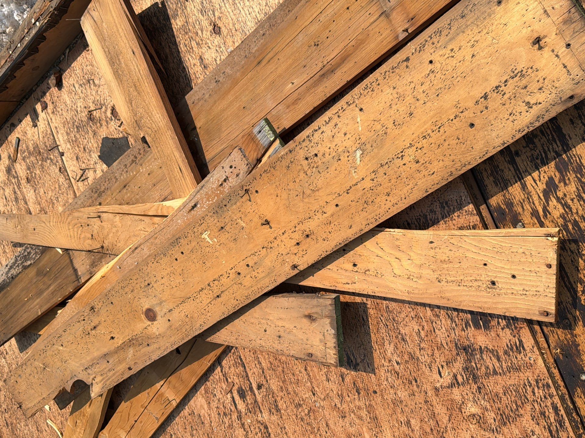 Boise Residential Roof Replacement Featuring Grey Architectural Shingles by Olive Roofing