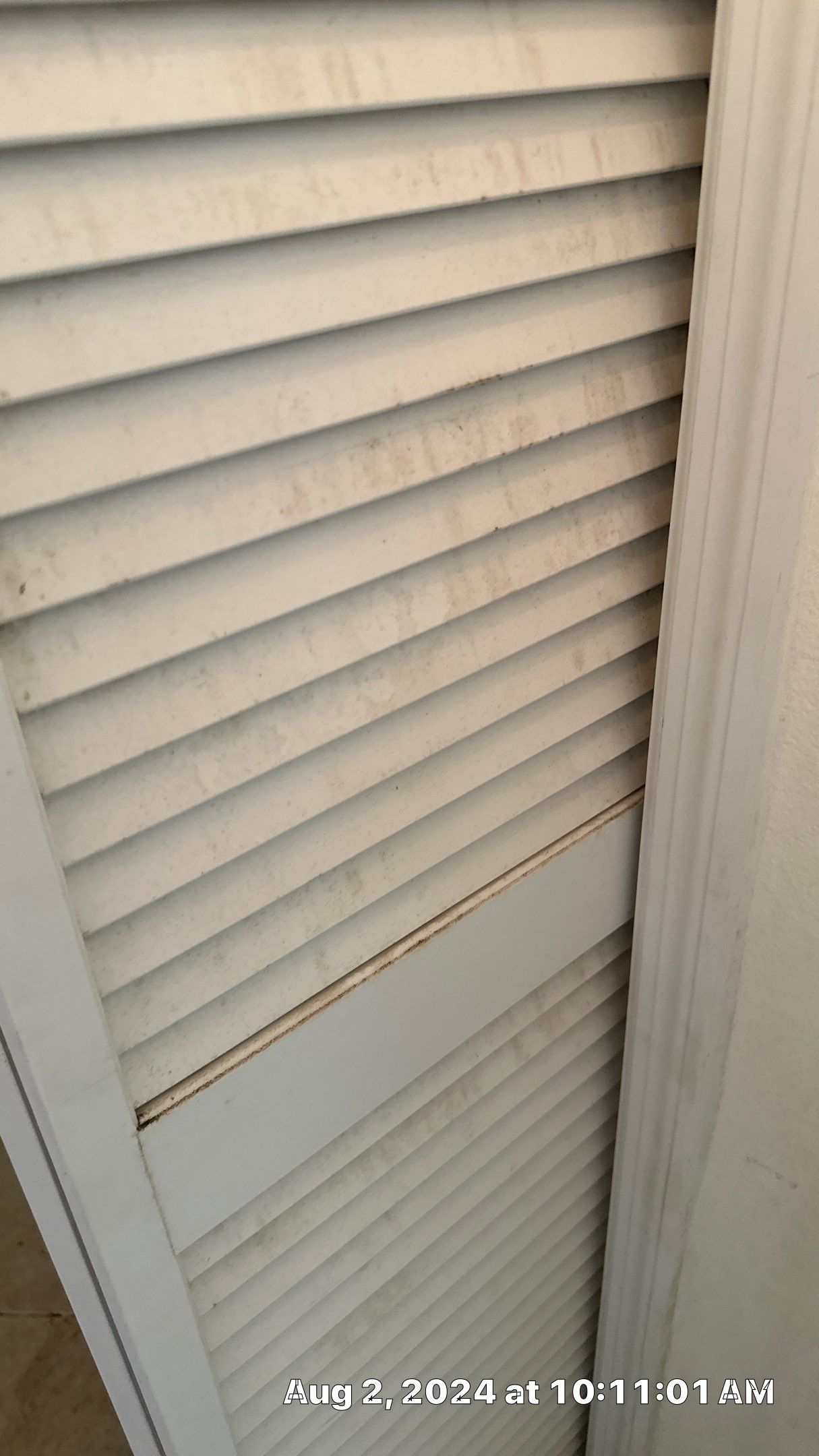 Mold Assessment using IR Camera, Moisture Meter, Air Cassette samples and Tape lifts by Building performance Solutions LLC