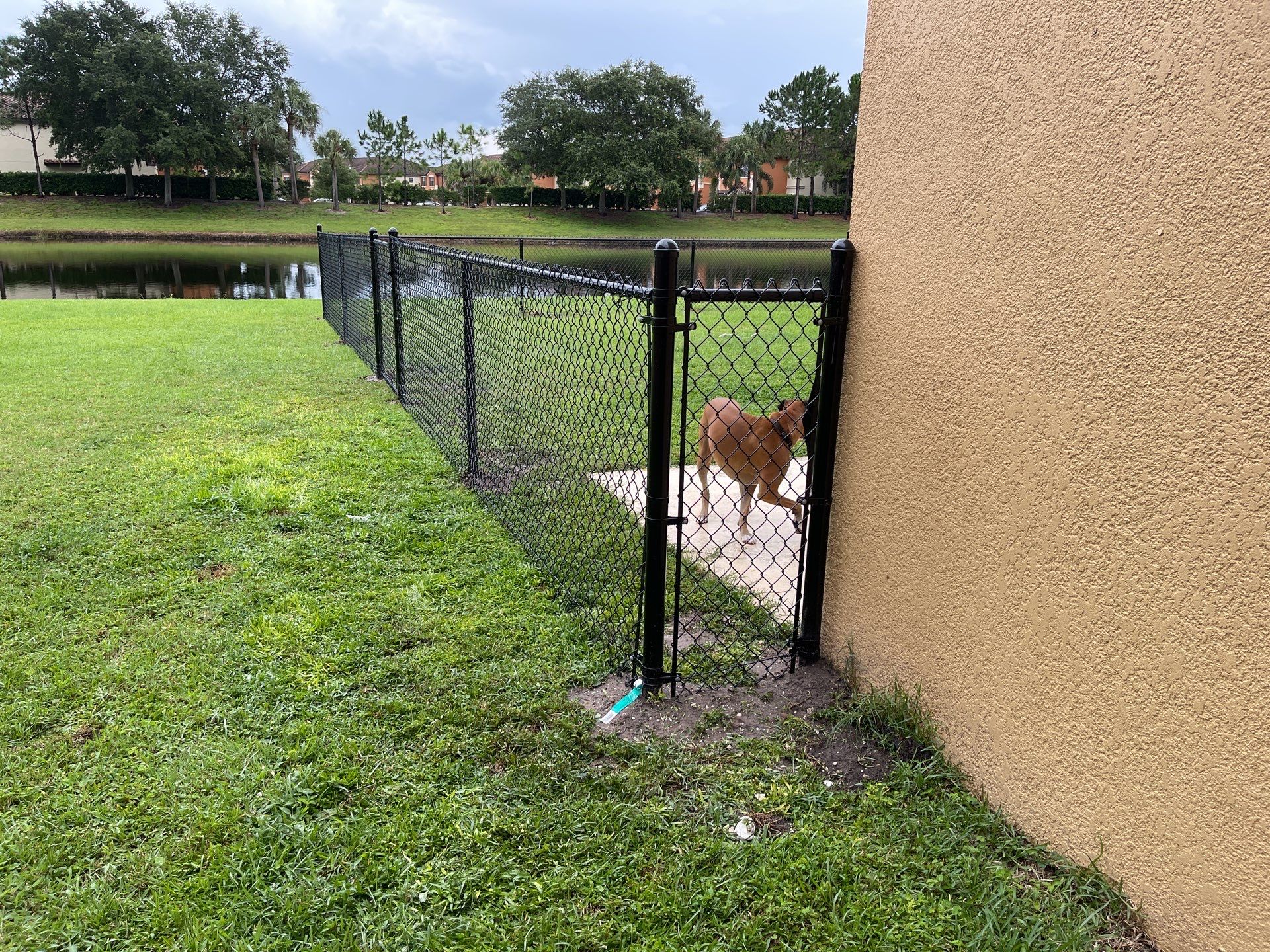 Bradenton, FL  4 ft. Tall Black Chain-link Fence by Asap fence and gates, LLC