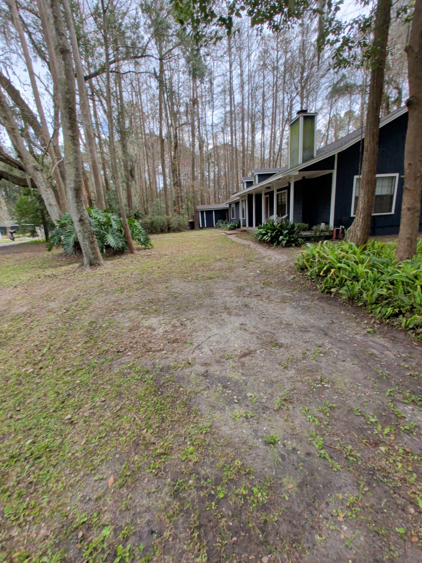 Large-Scale Leaf Removal & Property Cleanup — Jacksonville, FL (Southside Area) by Harmoni Home Services