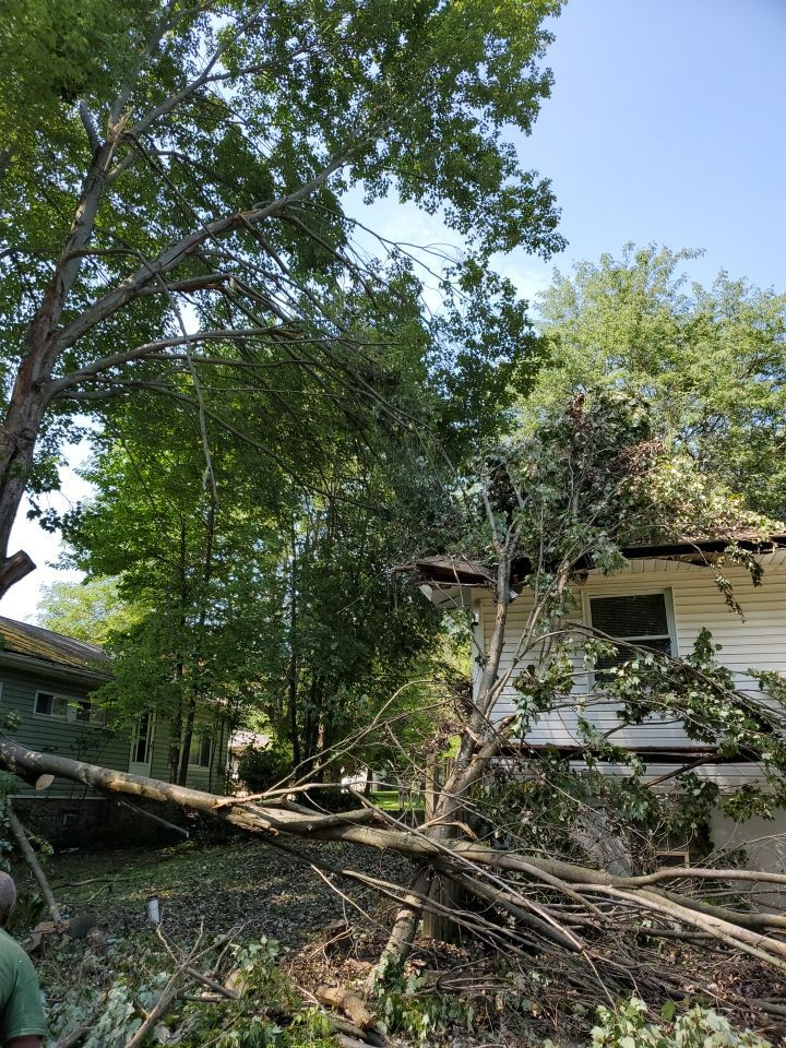 Storm Damaged Tree Removal  by Mike Jones & Sons Tree Service LLC 