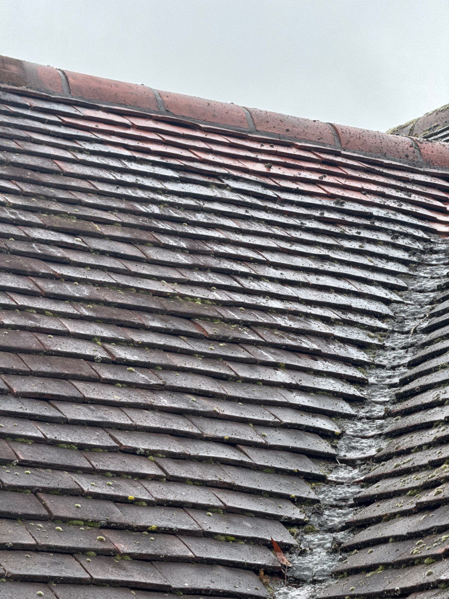 Roof Clean  - Moss Removal - Gutter Clean using Honda 15lpm Low Pressure Washing Machine by Ges Exterior Cleaning ltd