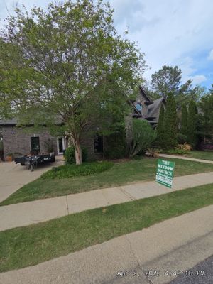 Lewis Project in Hoover