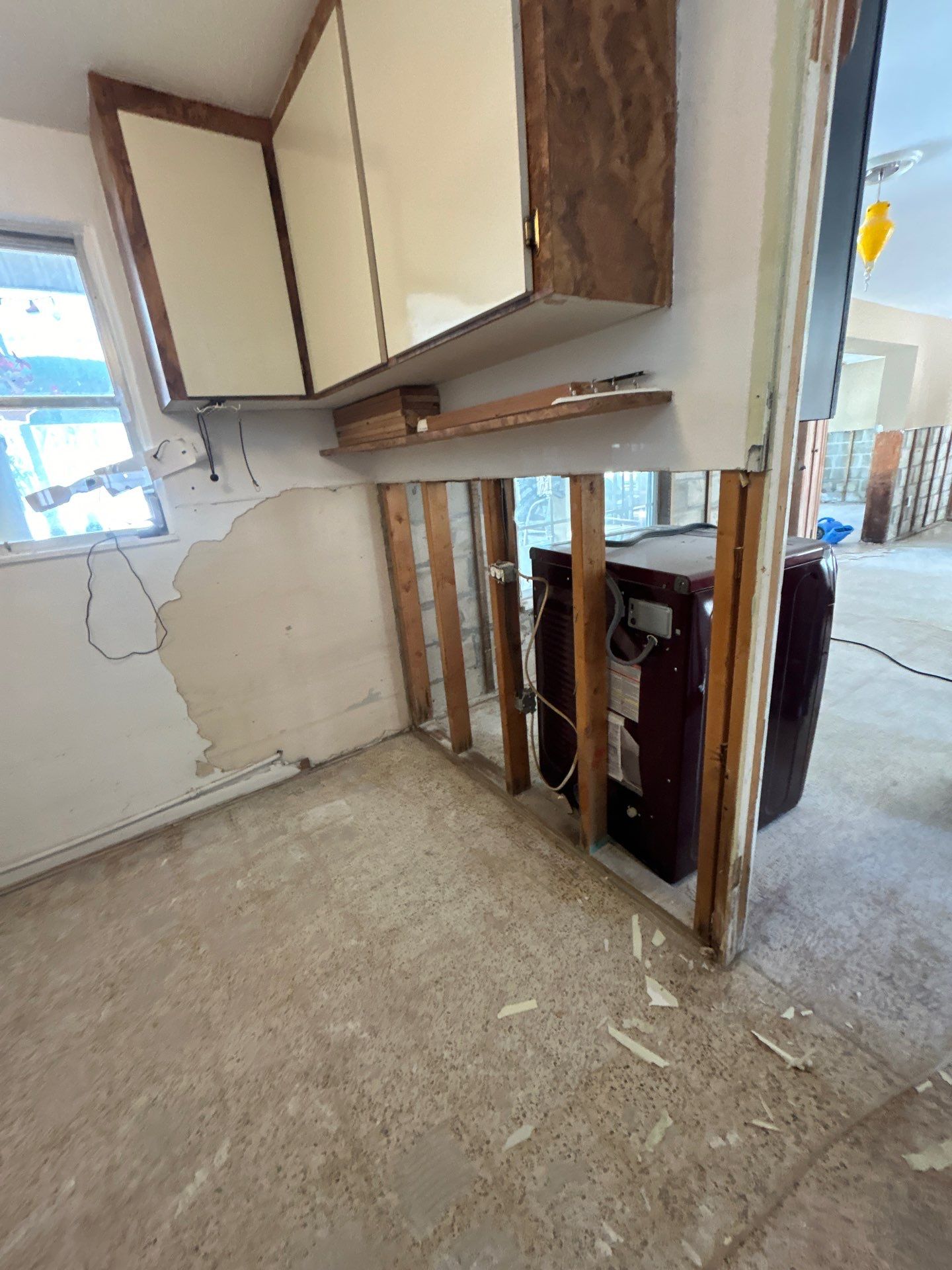Mold Remediation + Reconstruction Bradenton by Ampm Restoration Services