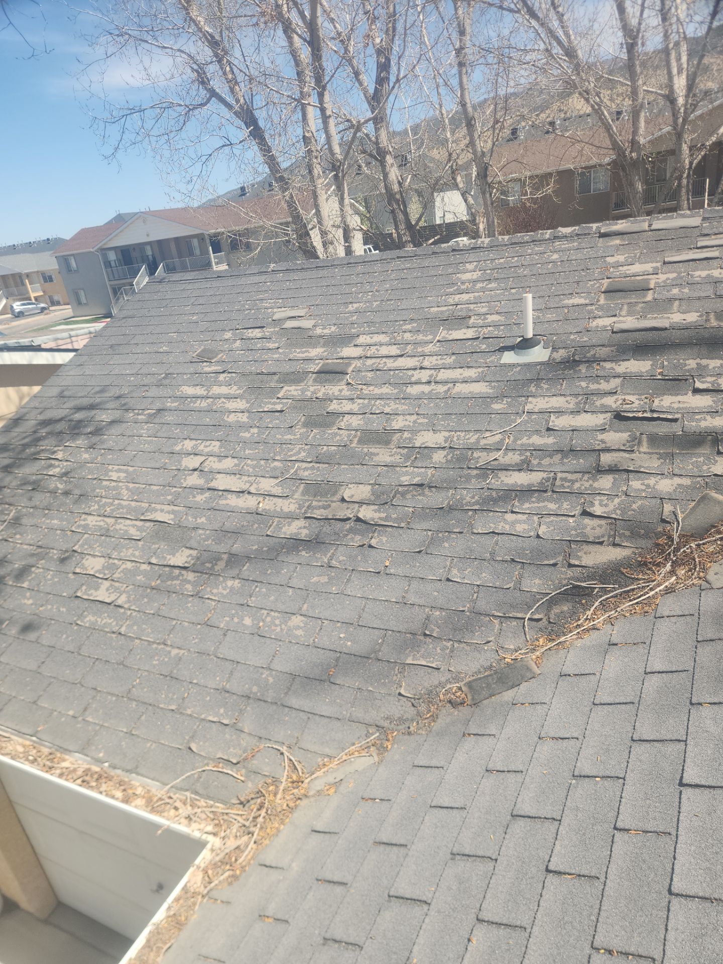 Egbert by Unified Roofing