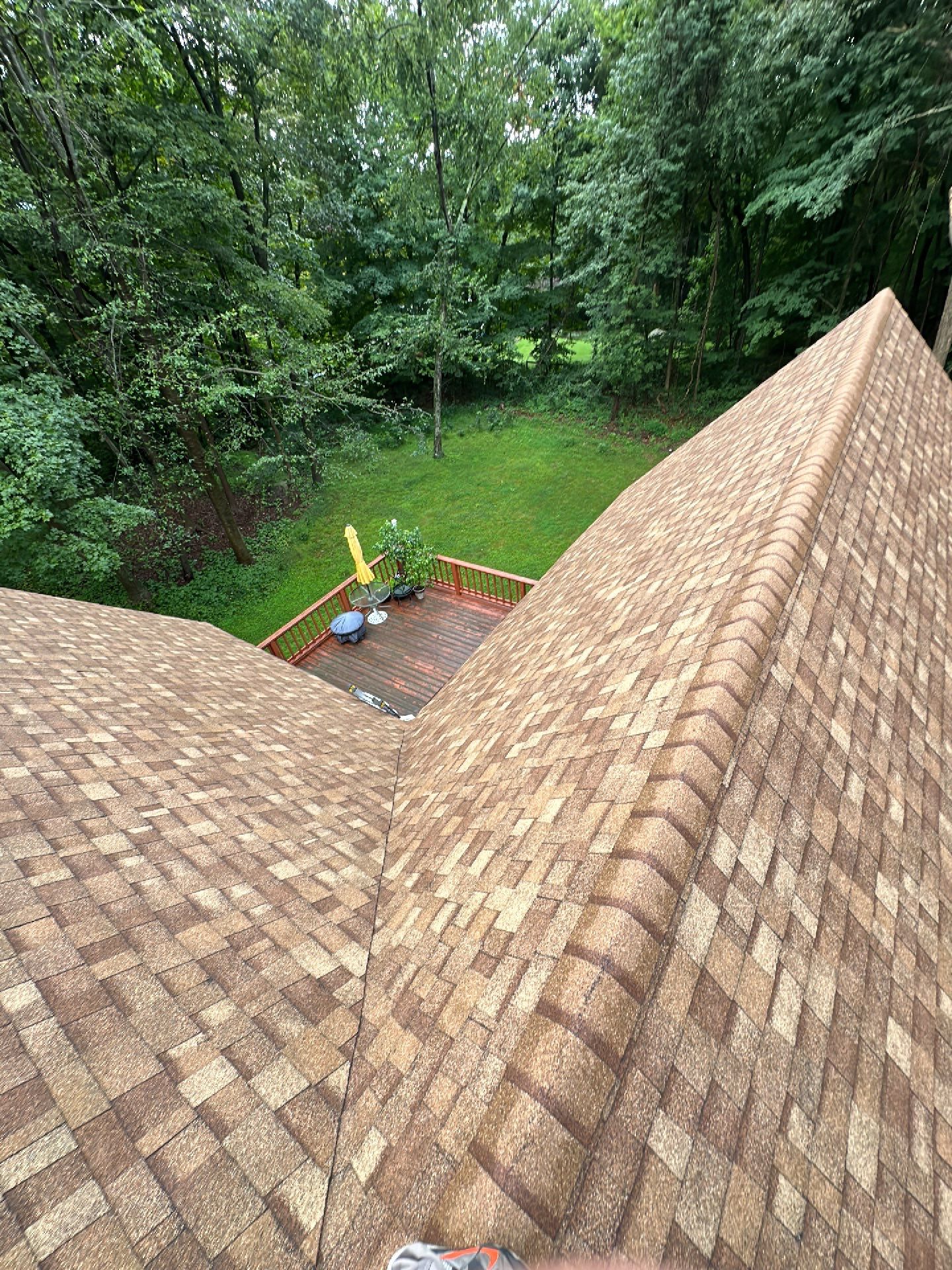 Desert Tan Shingles by Reimagine Roofing