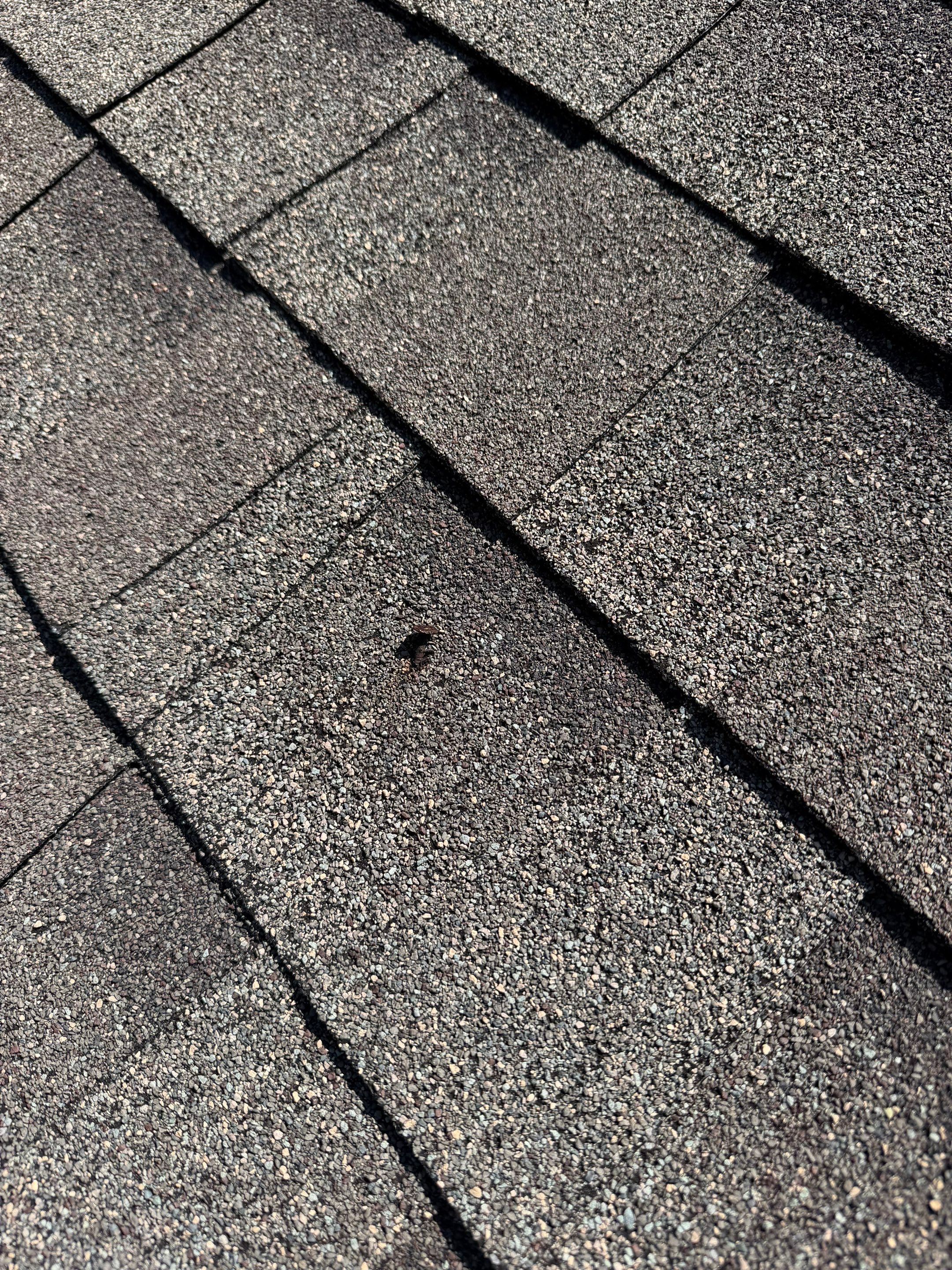 Project in Ponte Vedra by 1 Roof LLC