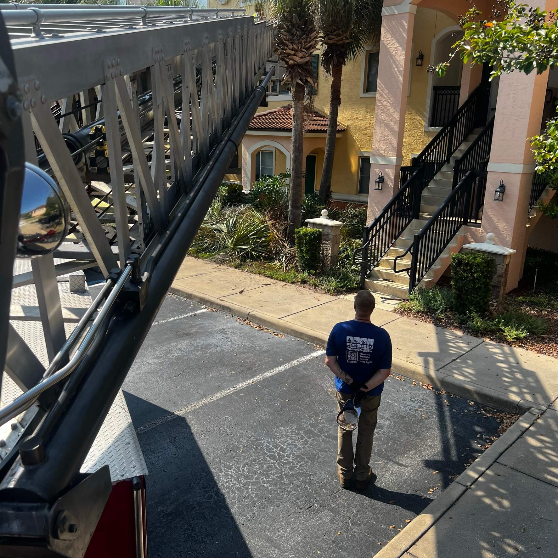 Palm Tree Trimming | IL Villagio Condominiums by ProGreen Services