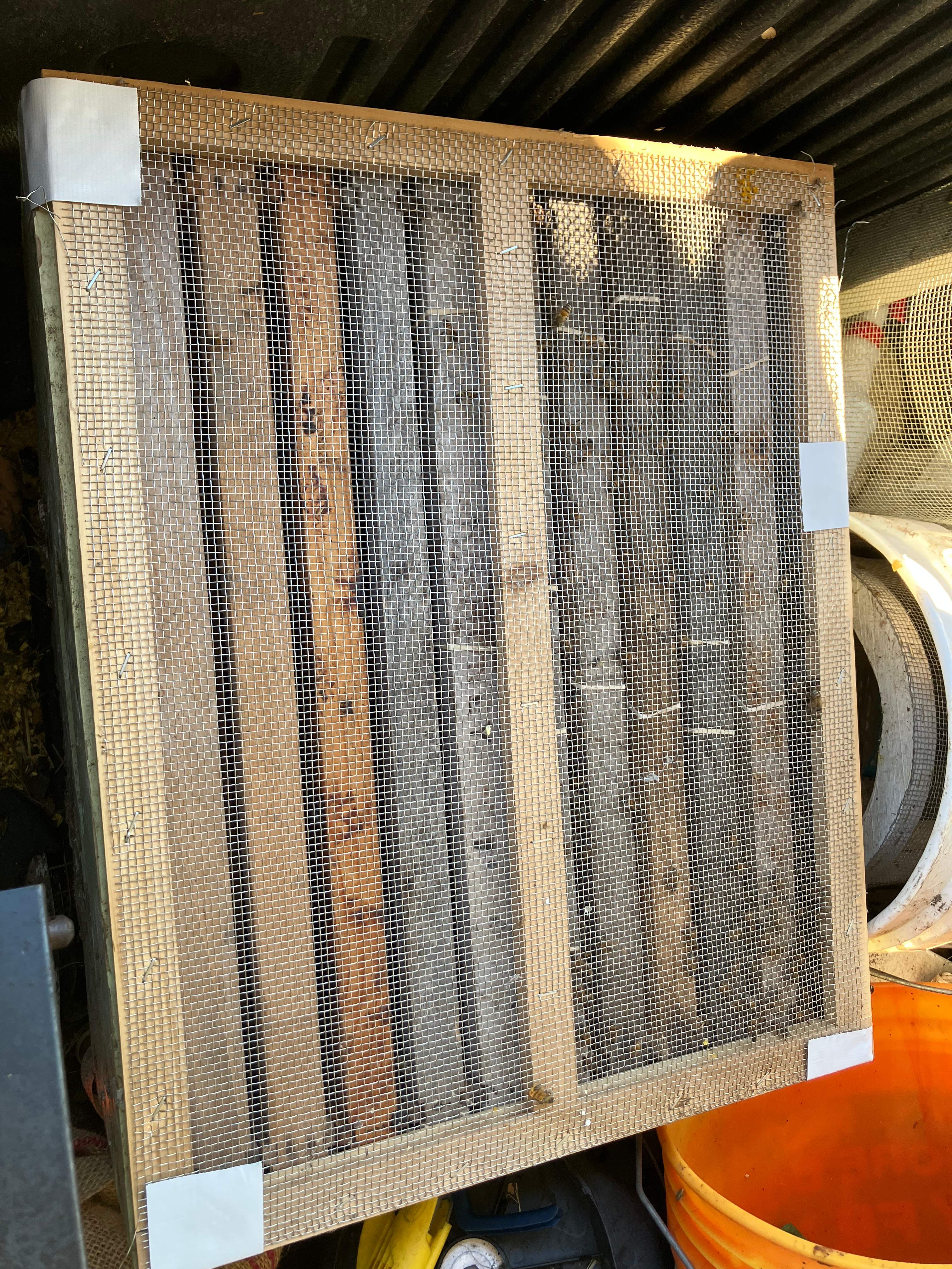 Bees Handled by Rockwall Honey Bee Company