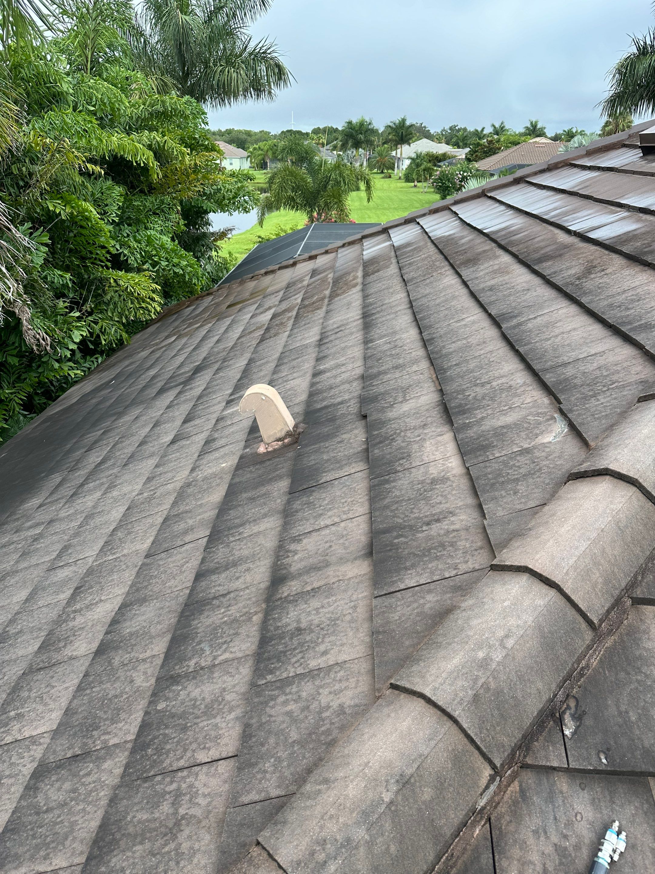 Flat Tile Roof Cleaning, House Wash & Sidewalk Cleaning in Enclave at Country Meadows, Bradenton, FL | Sunshine AquaWash by Sunshine AquaWash