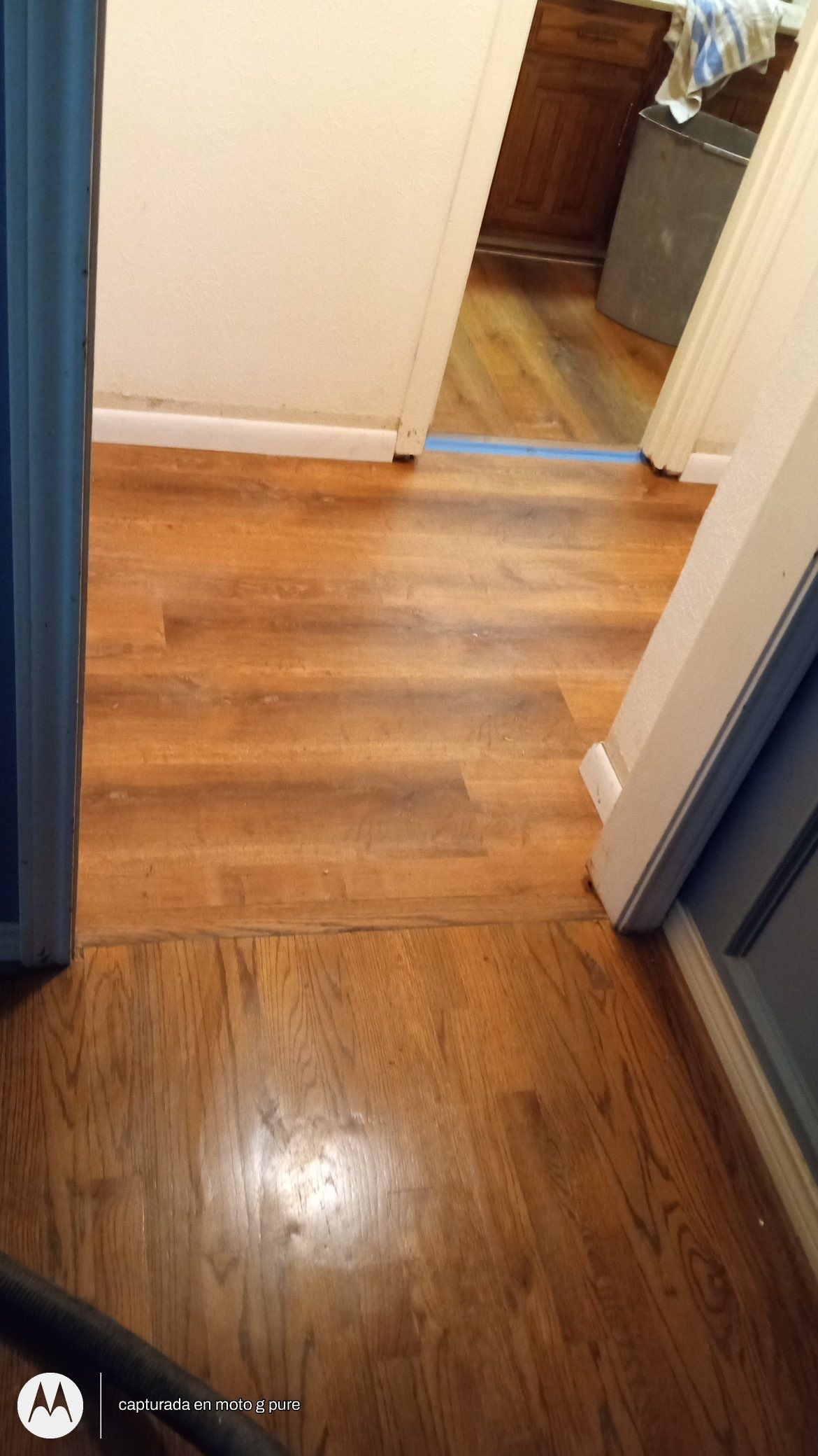 From Carpet to Pet Friendly Master BR by Bernard Hardwood Floors