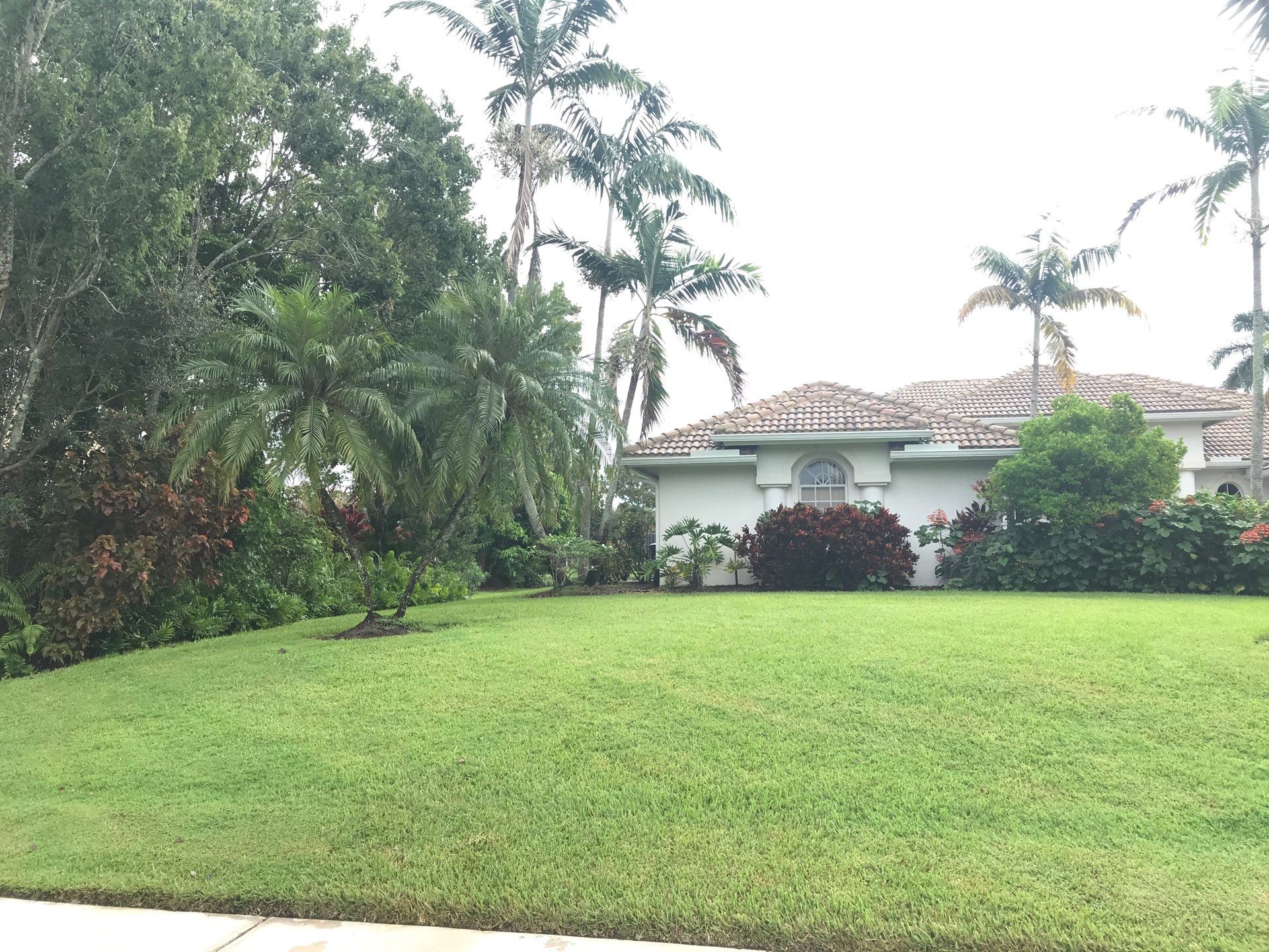 🌴 Landscape Removal and Install in Palm City by Alpha Zeta Enterprises Inc