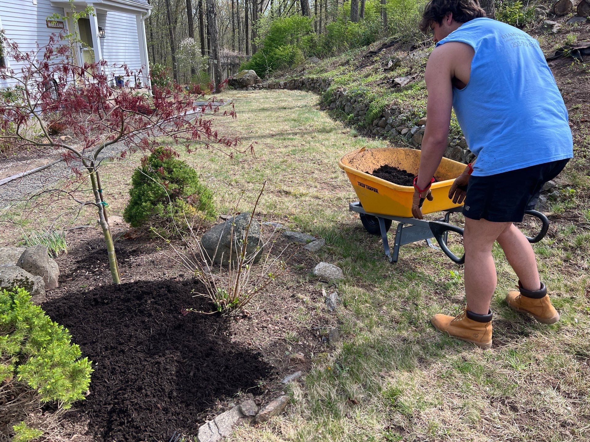 Complete Residential Spring Cleanup and Shrub Pruning in New Haven by Diamond Image LLC