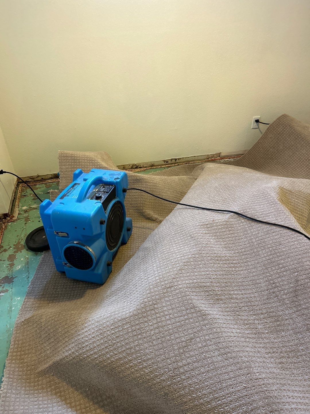 Mold Remediation by Accountable Home Services