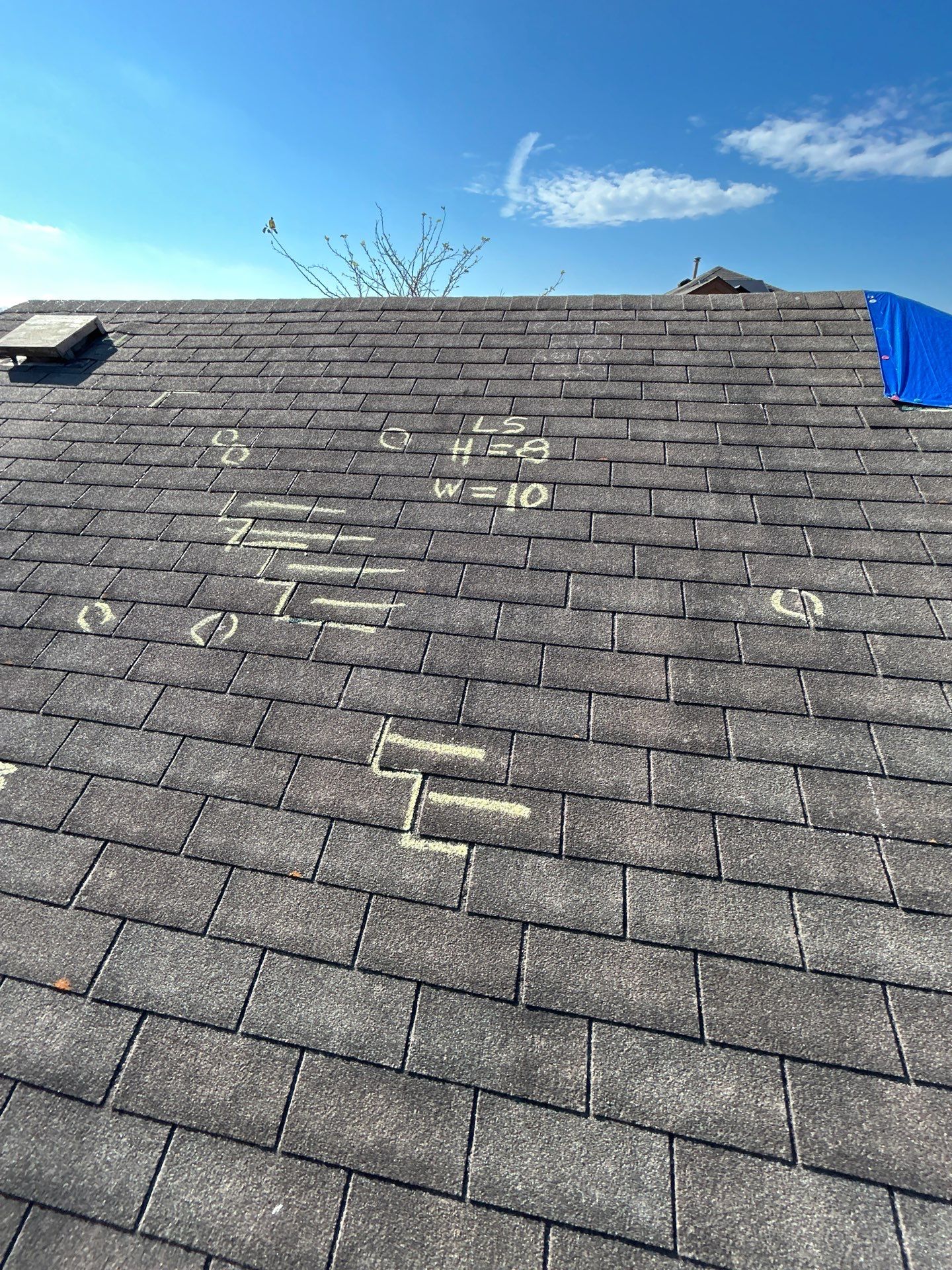 Miss Bridgette by REPS Austin Area Roofer