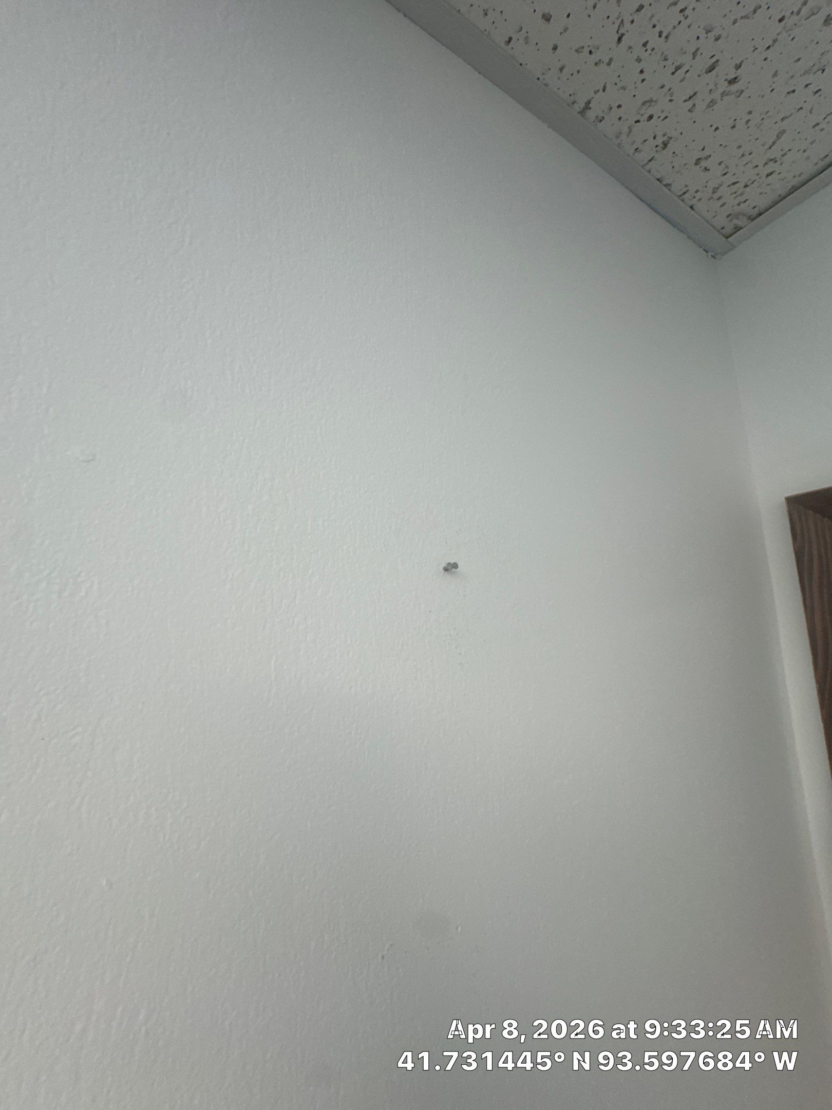 Commercial Office Repaint  by Midwest Paint LLC