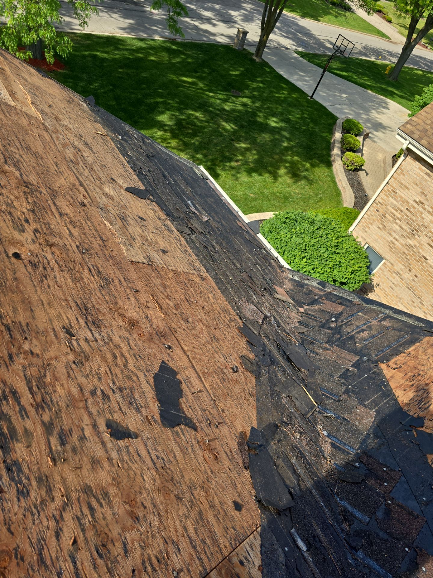 Oak Brook Architectural Shingle Roof Replacement and Velux Skylight Upgrade by Roof One