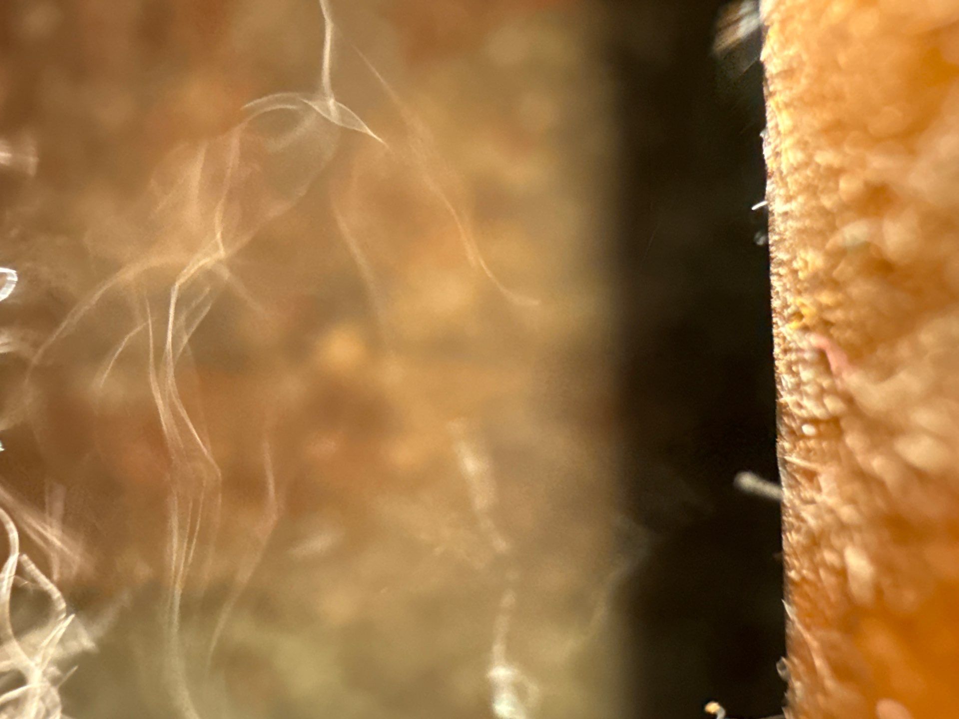 Air Duct Cleaning in Baden, PA by Superior Air Duct Cleaning