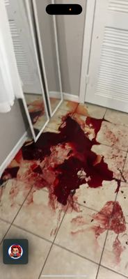 Biohazard Suicide Remediation in Port Charlotte