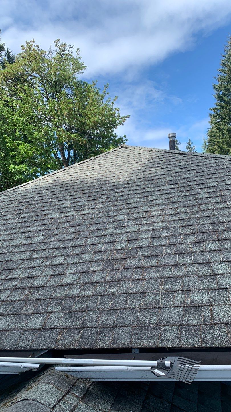 Softwashed in many Years back, and organic regrowth significant by DawnSky LLC